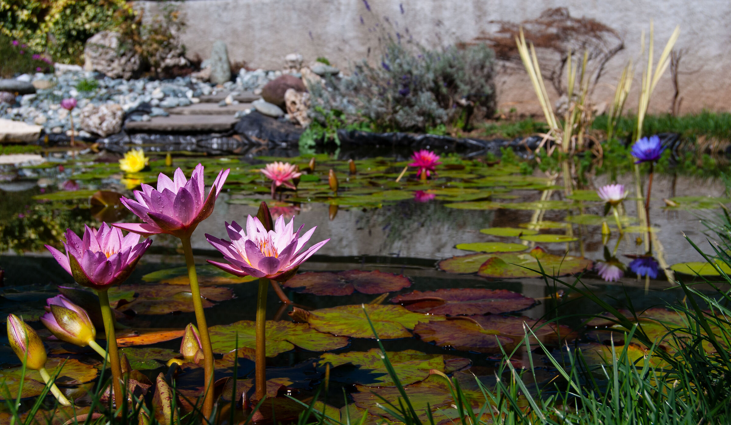 Colori estivi. "Le tre gemelle".