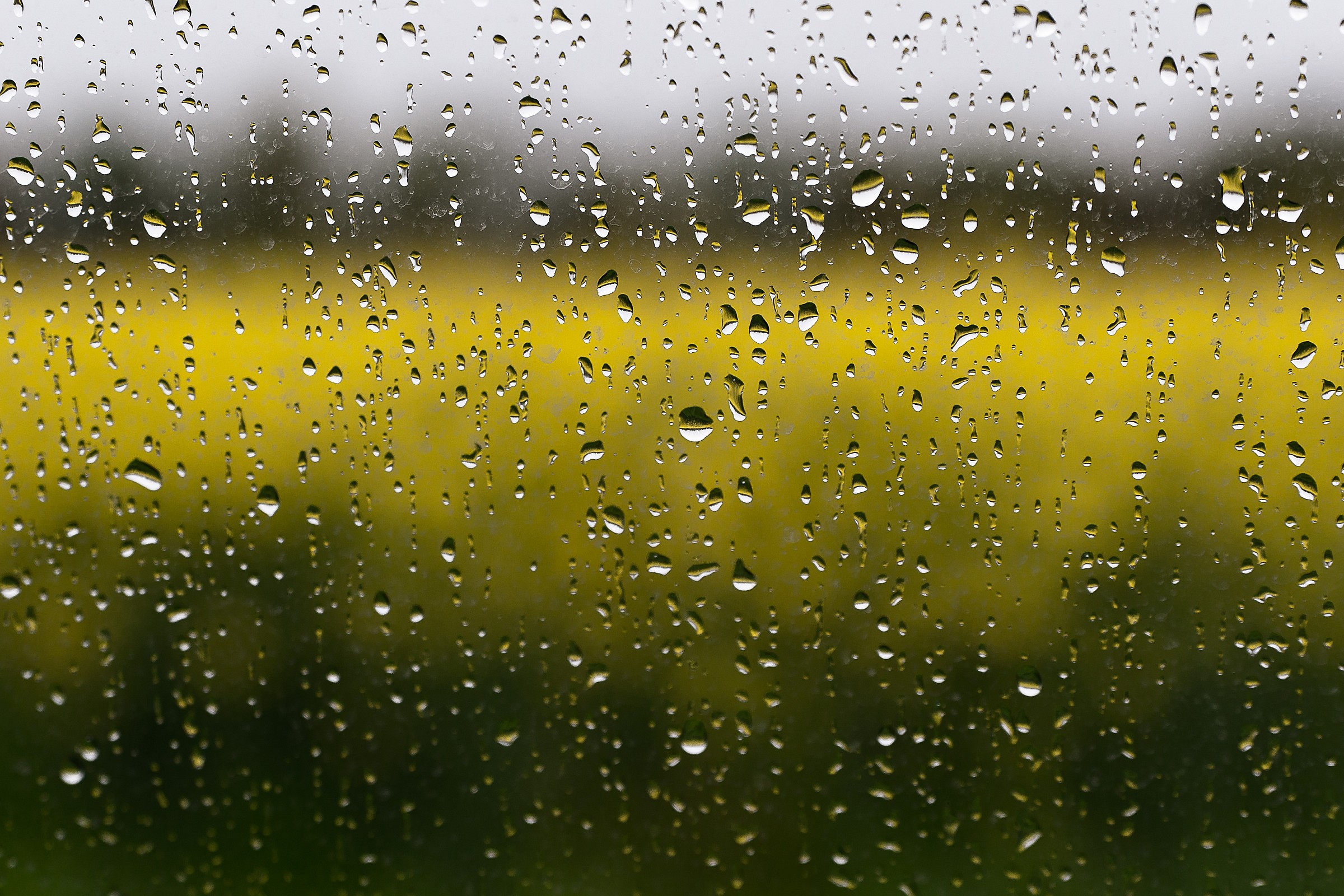 From the window, spring.