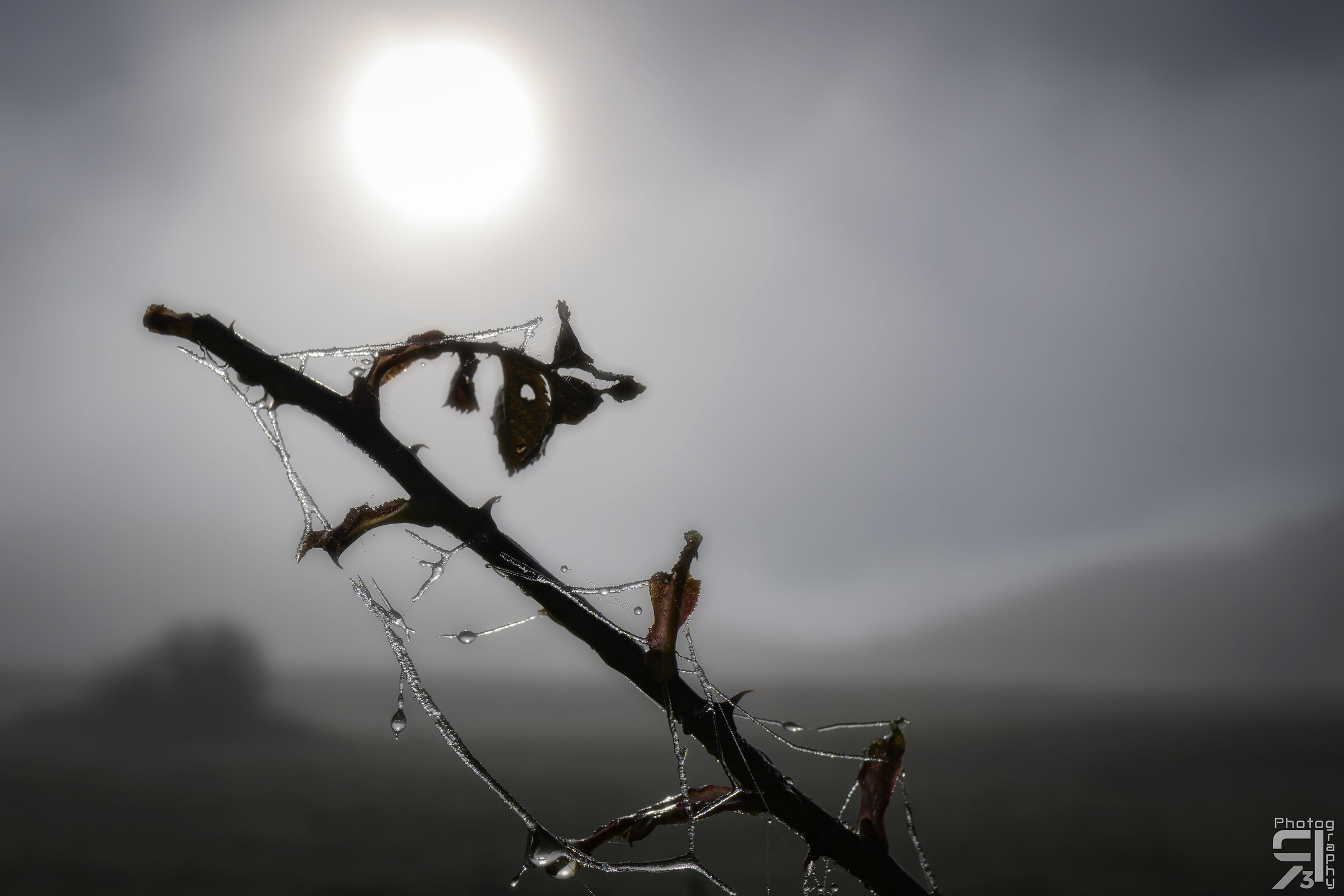 e' arrivato l'autunno e il freddo