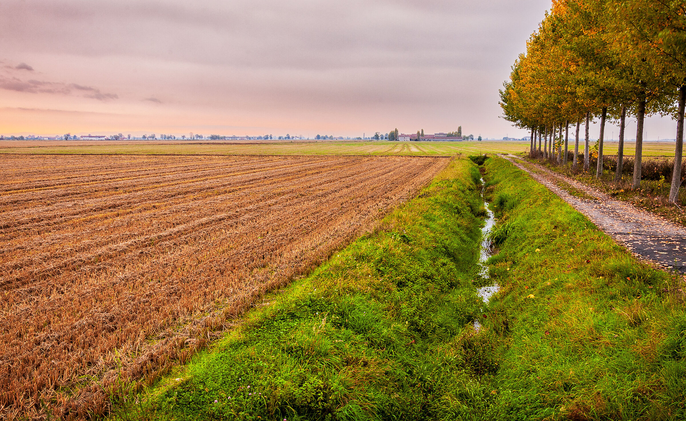 Le prime luci del giorno riscaldano la campagna