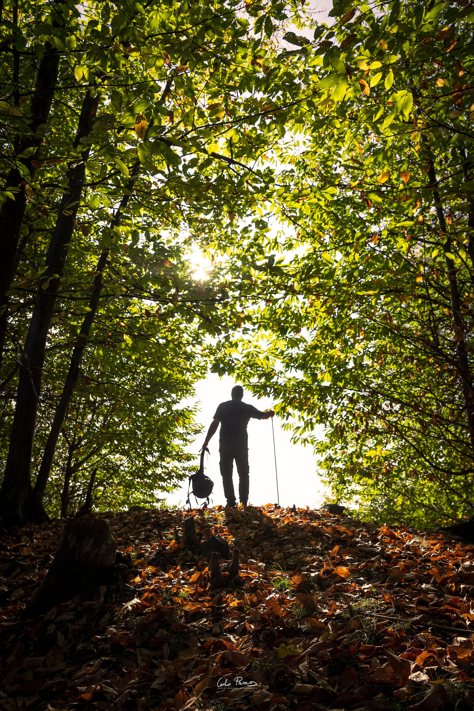 The man of the forest of Frassinetto