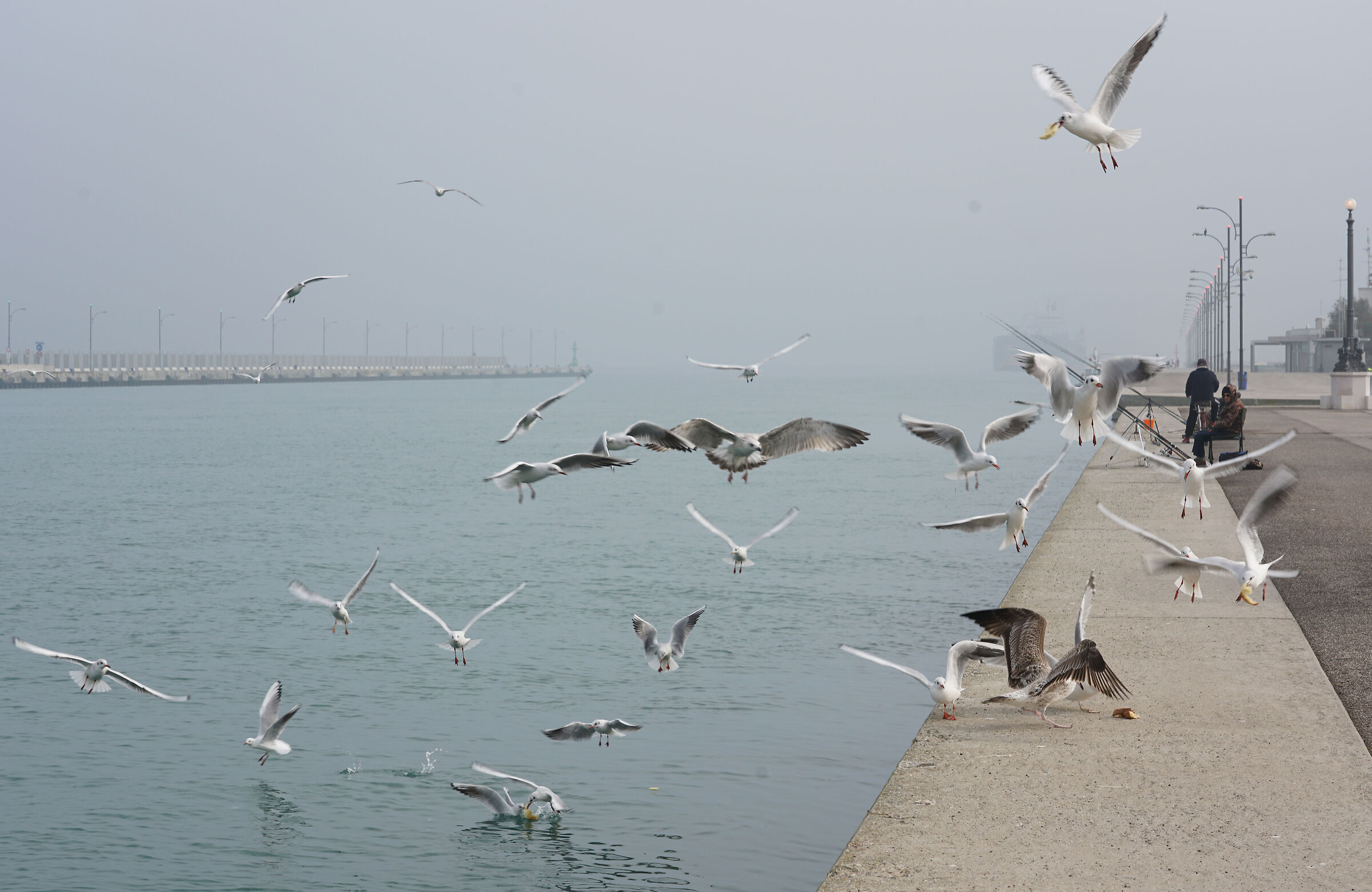 For a piece of bread