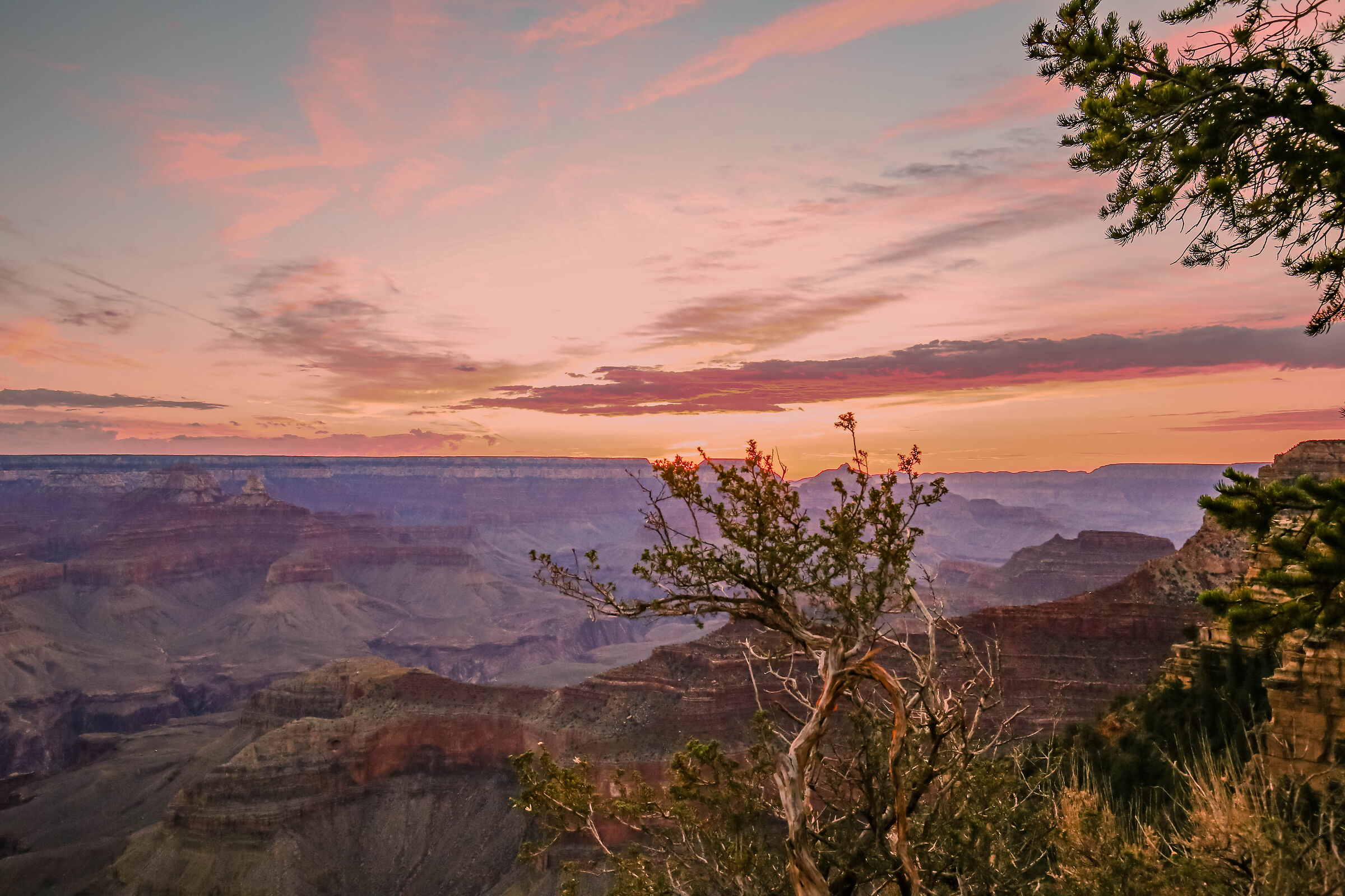 grand canyon yavapay point alba
