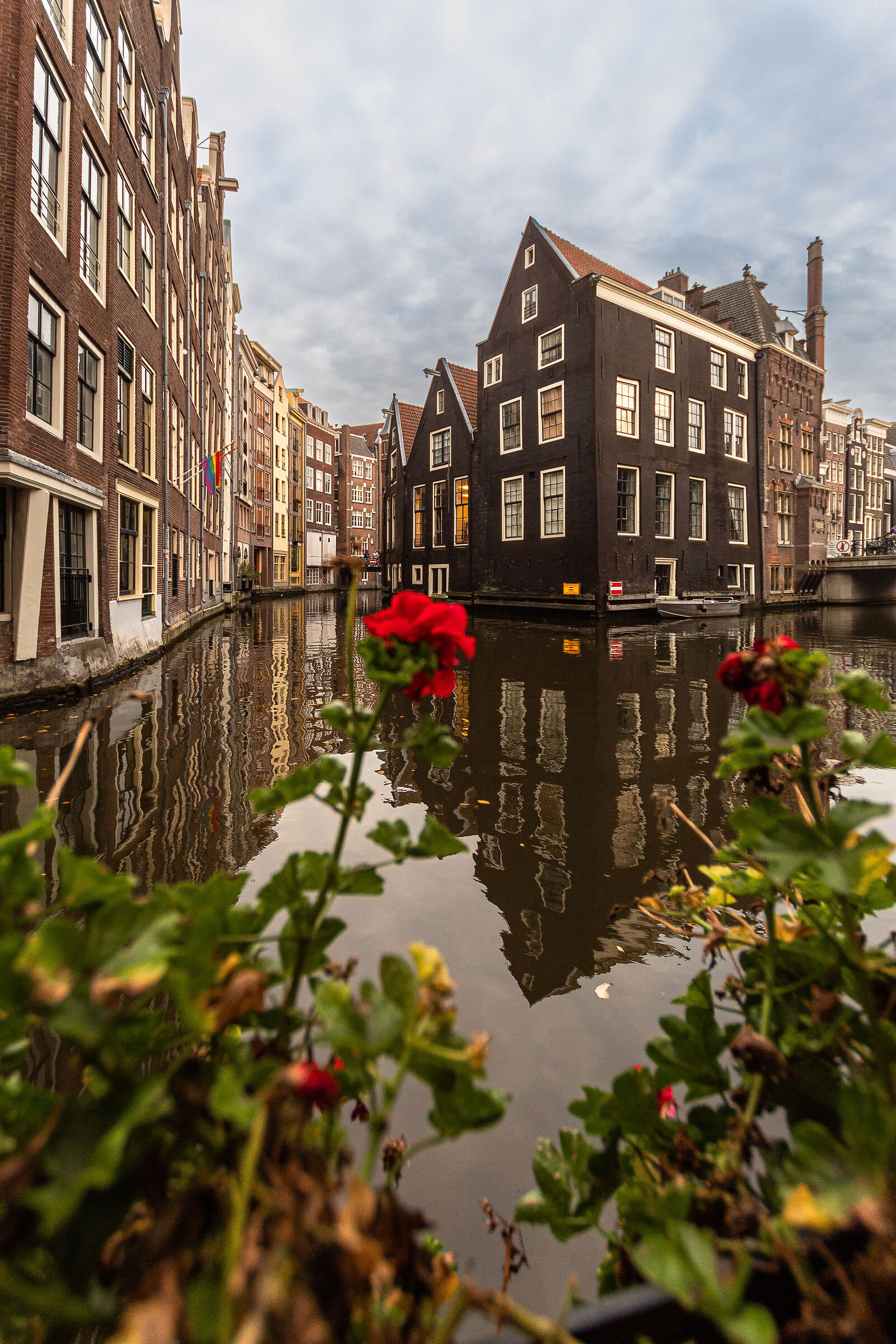 Canali di Amsterdam