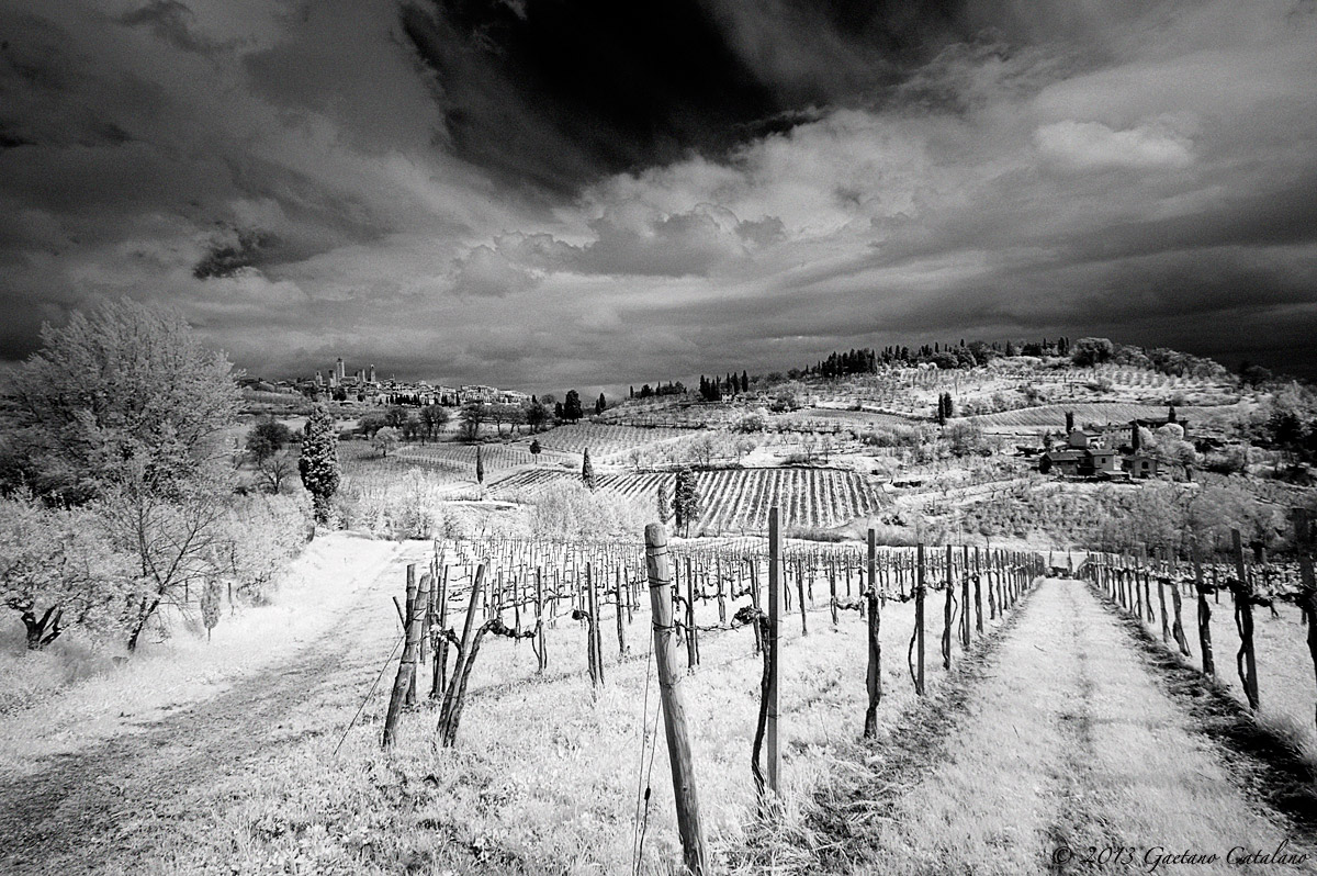 San Gimignano Infrarosso...