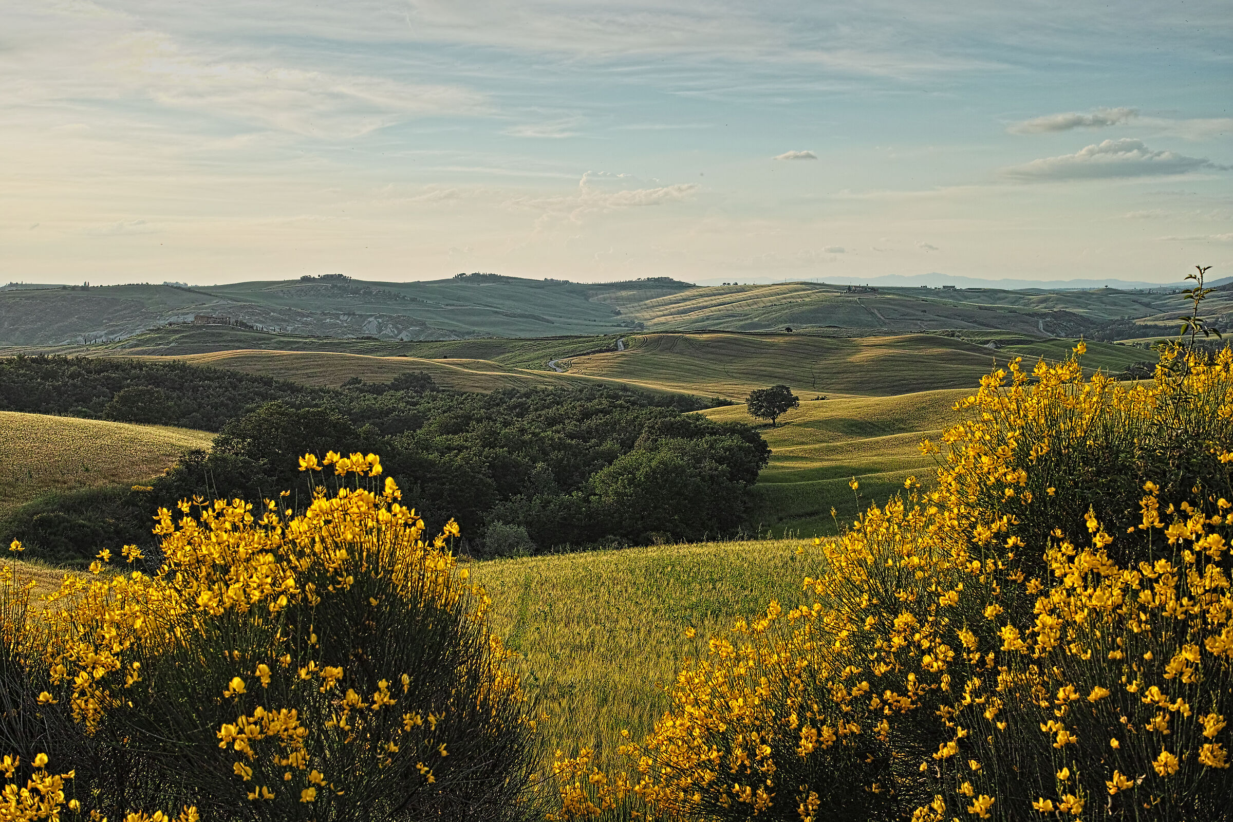 San Quirico D'Orcia Hills