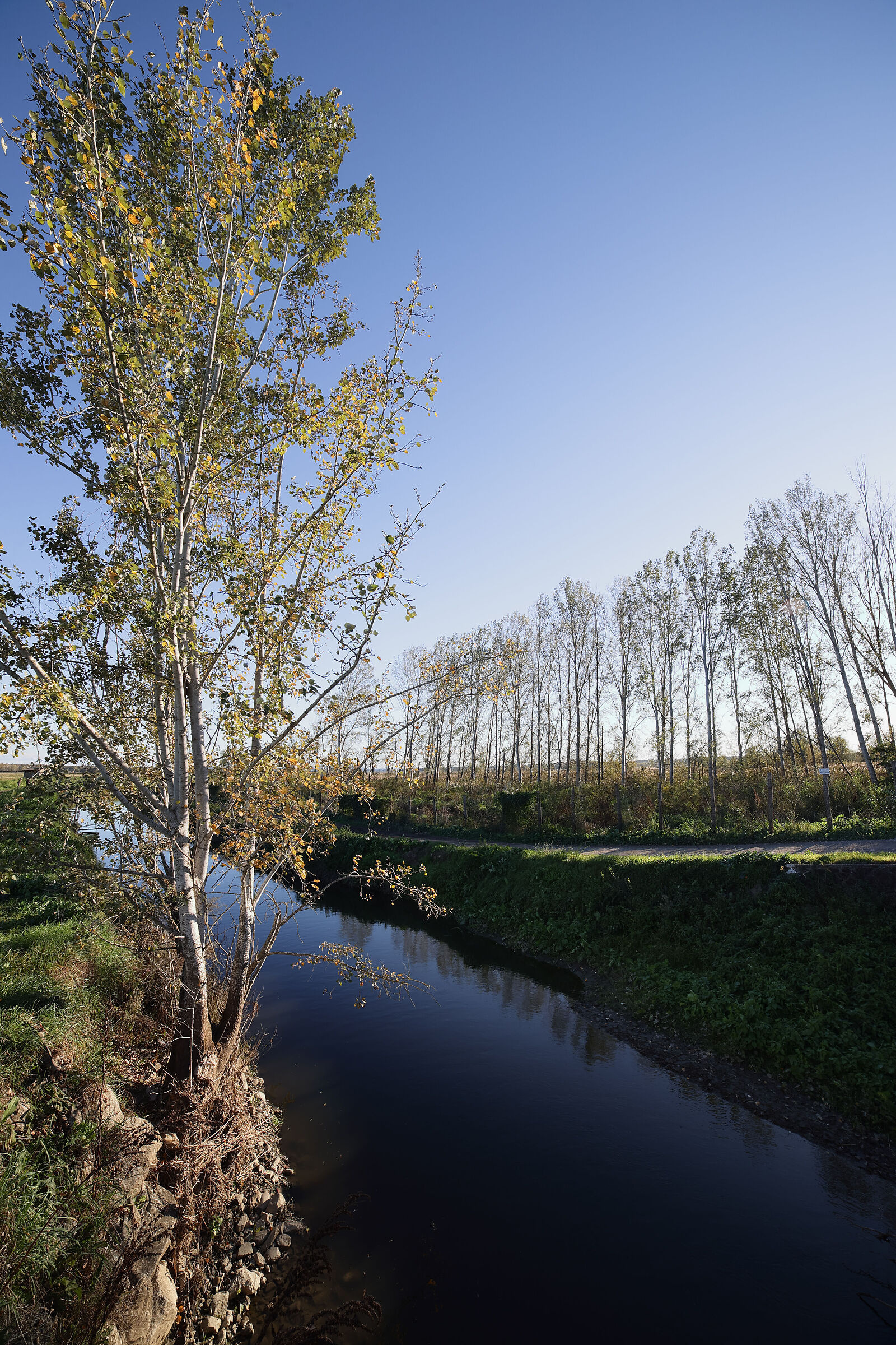 Sharpness test Samyang 14 mm f, 2.8
