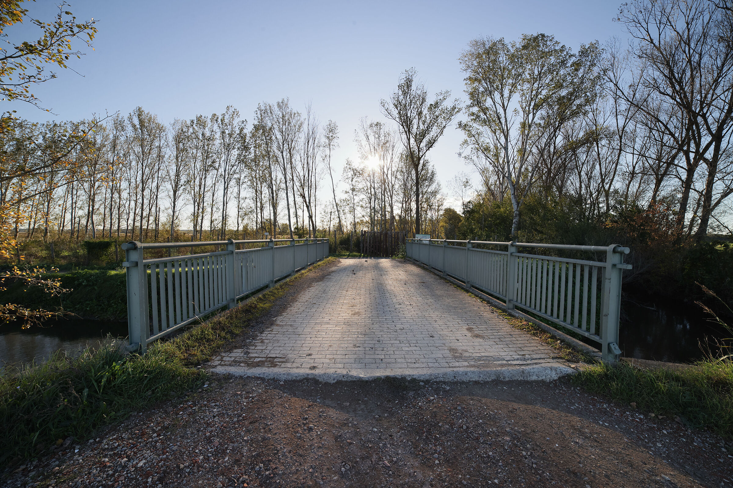 Sharpness test Samyang 14 mm f, 2.8