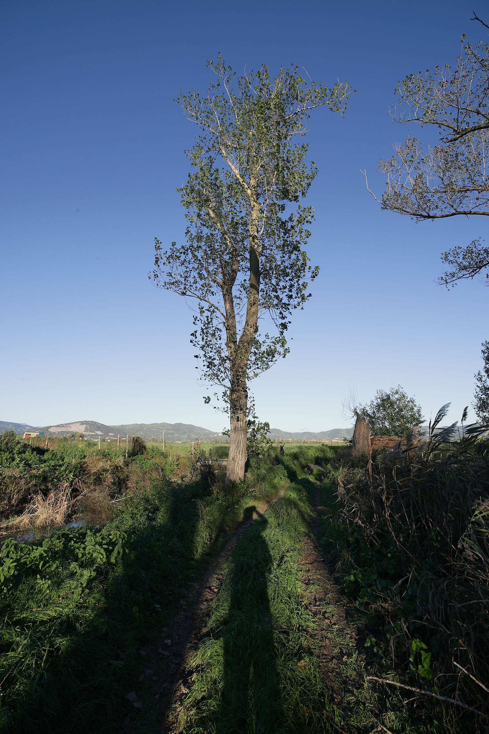 Sharpness test Samyang 14 mm f, 2.8