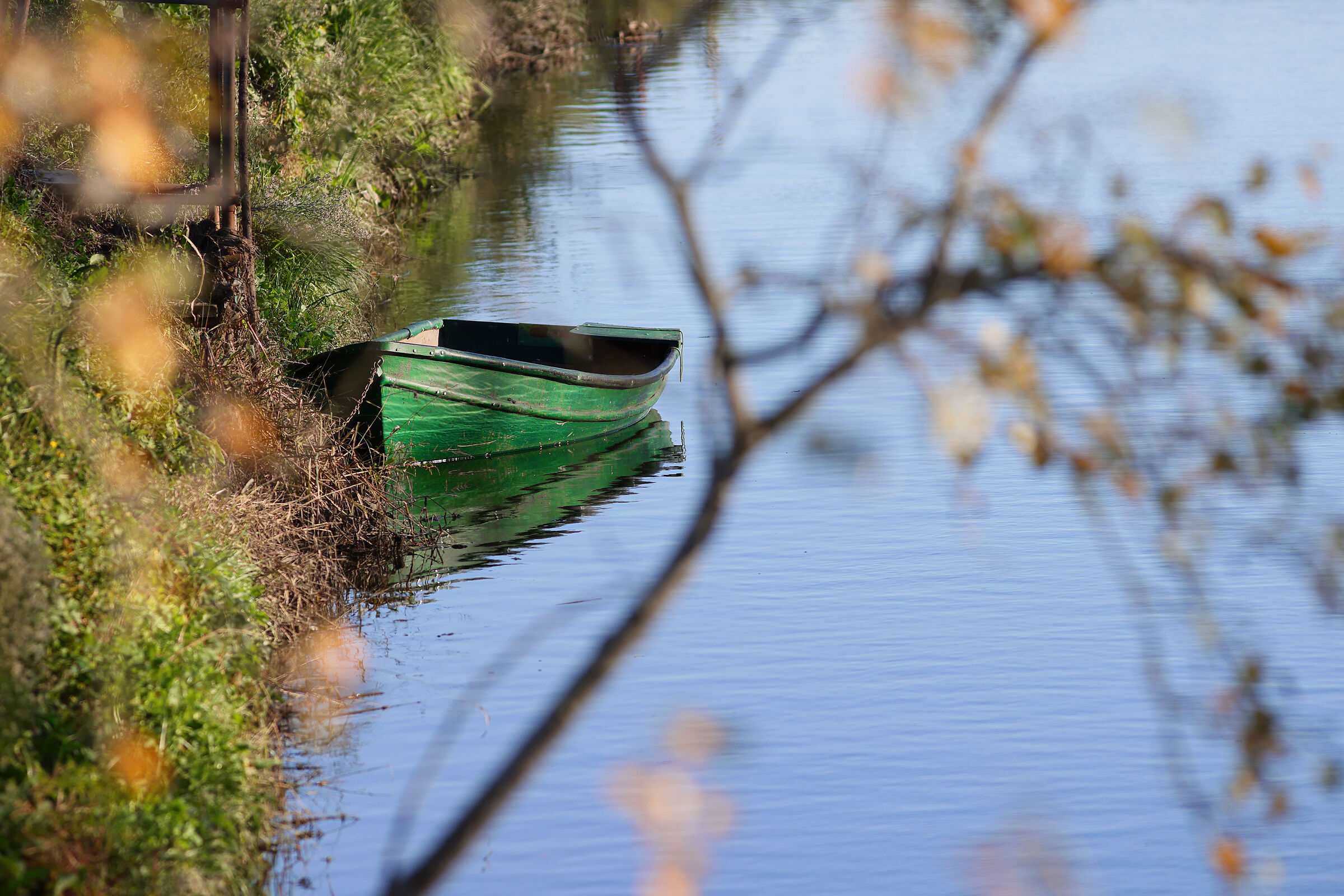 Try Canon 300mm. f. 4