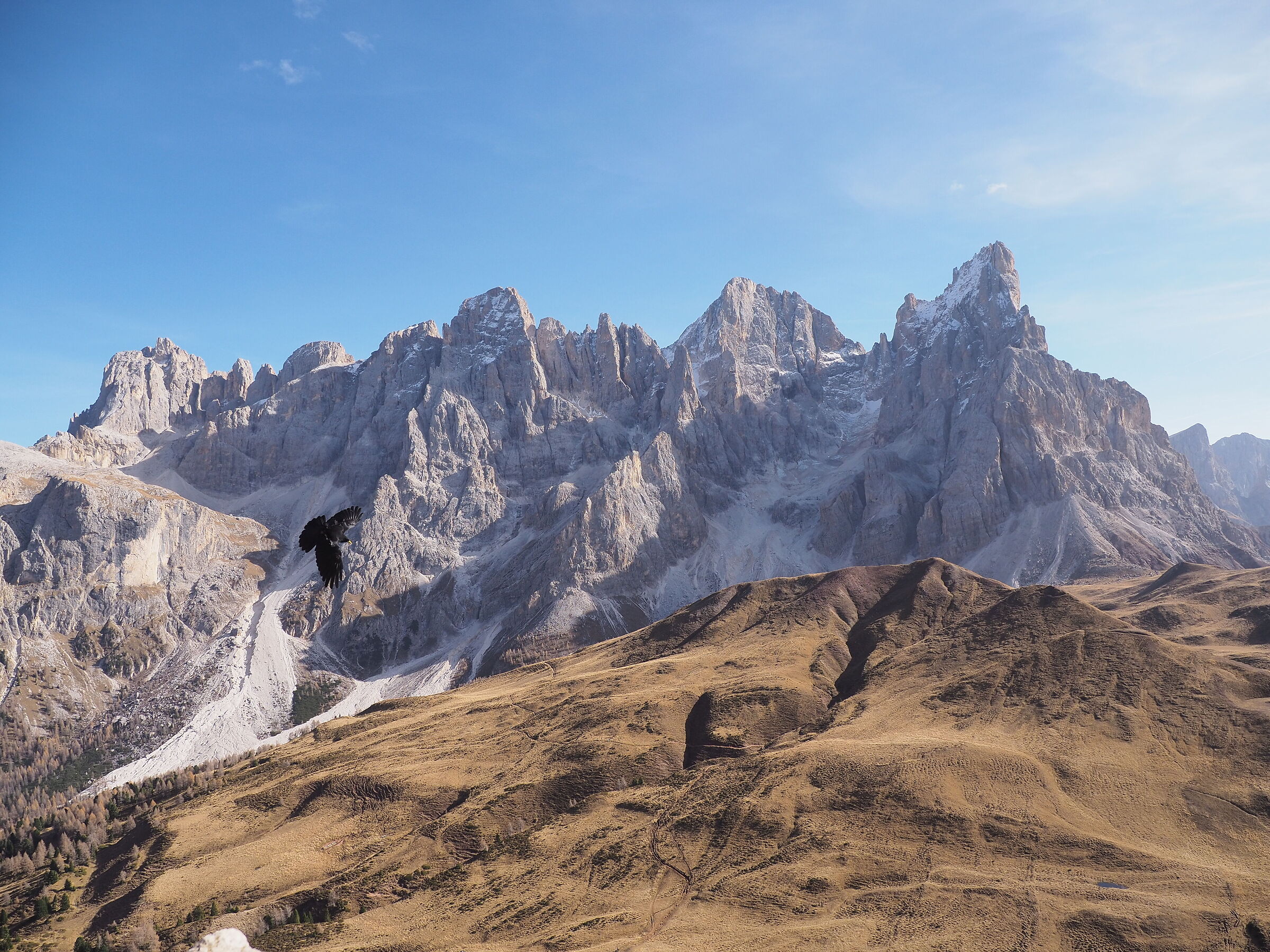 altarpieces of San Martino