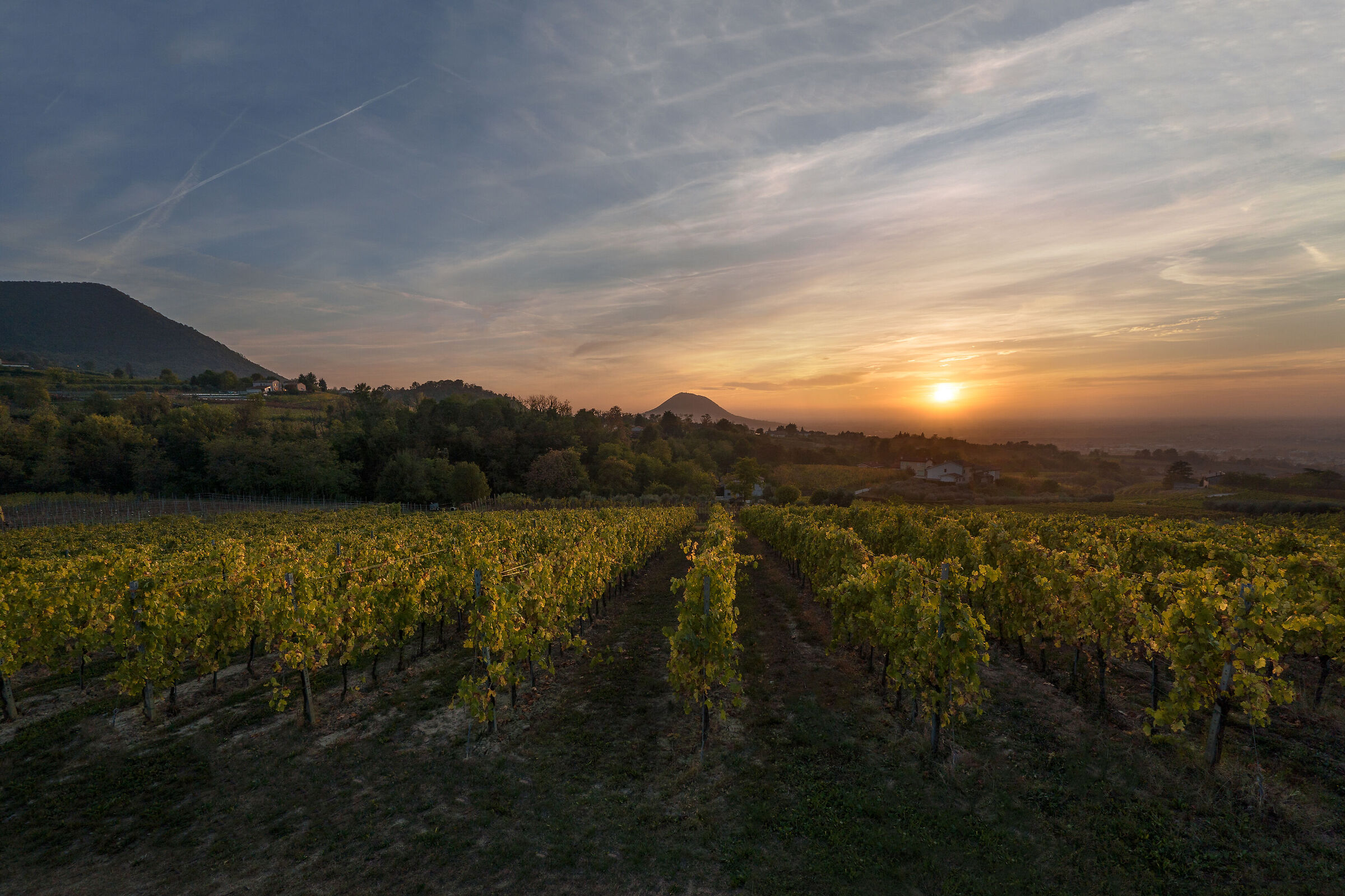 Tramonto nei Colli Euganei