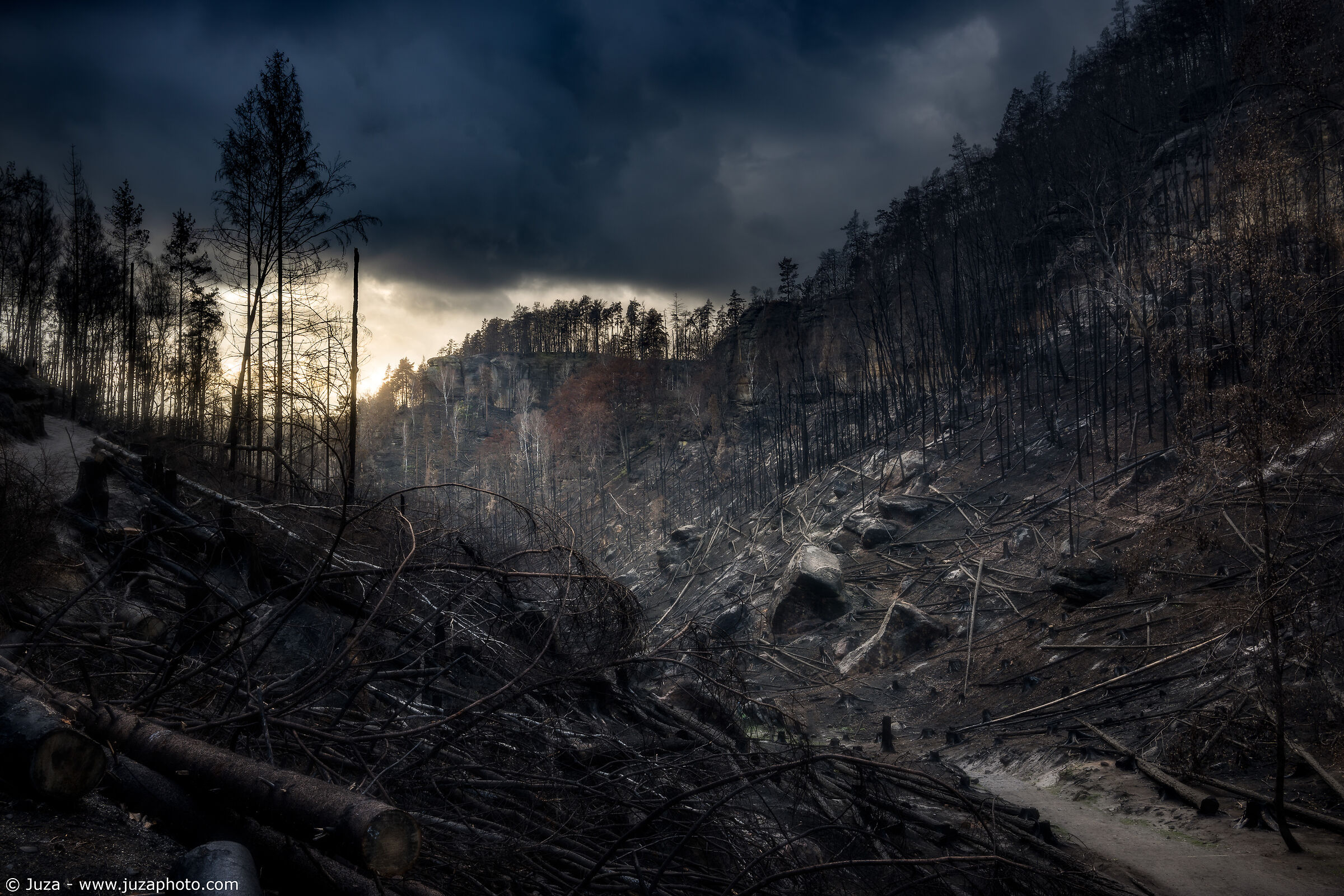 Il mondo ridotto in cenere