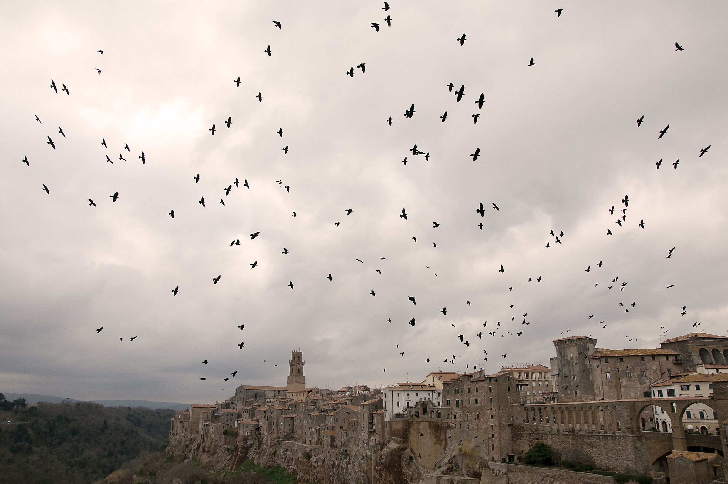 View of Pitigliano