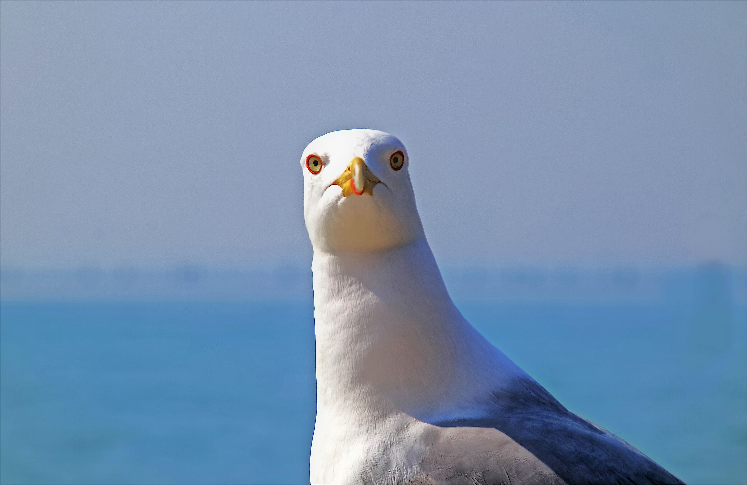 Look at the lens ...