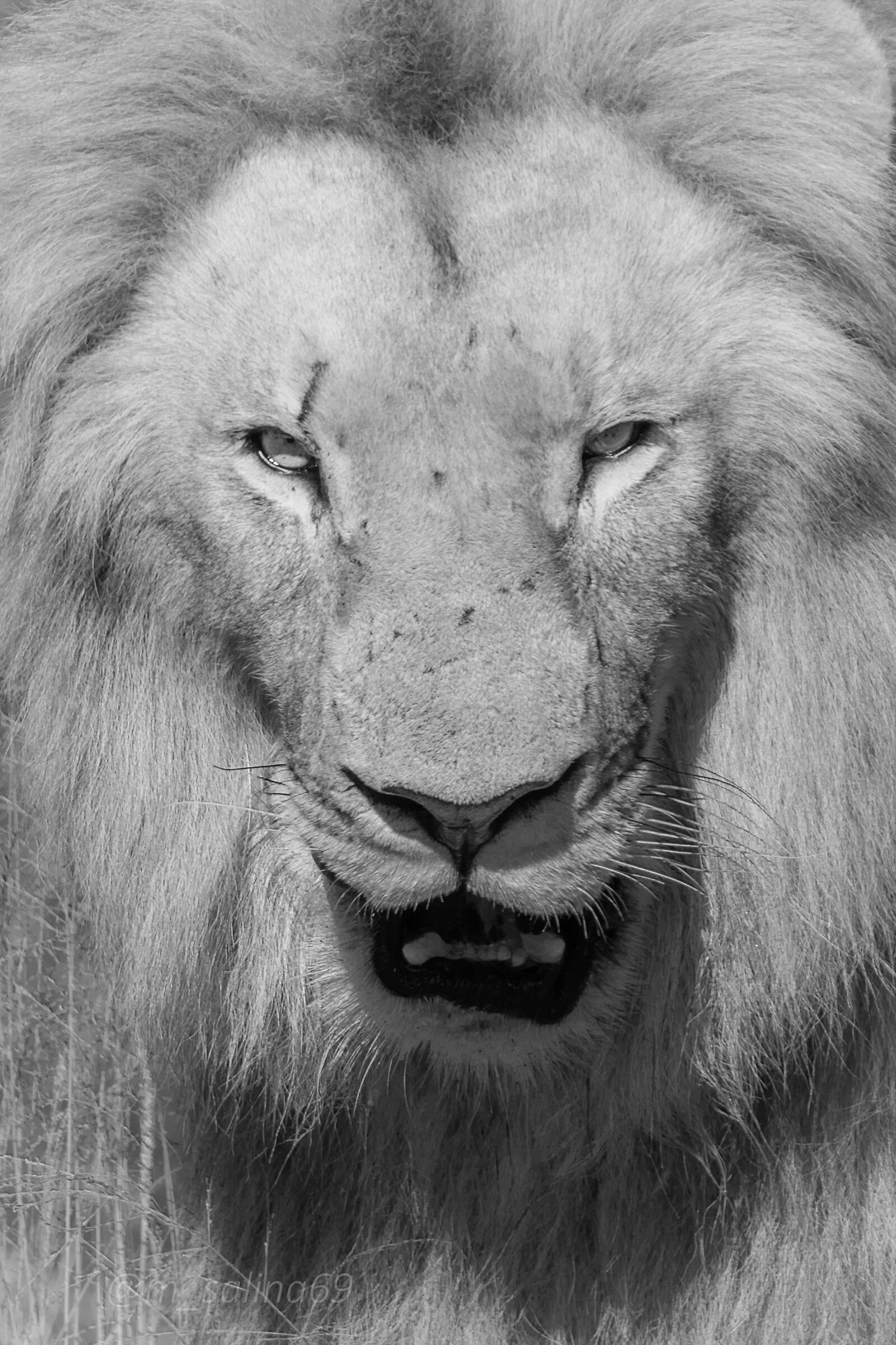 a me gli occhi, please