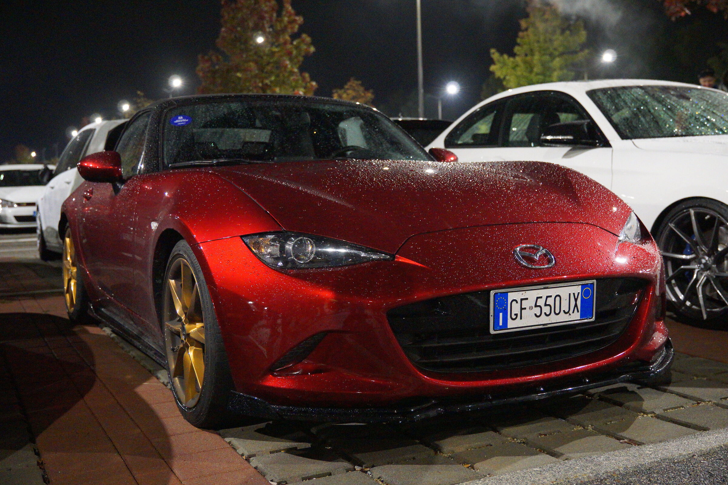 Raduno hardcore drivers  3