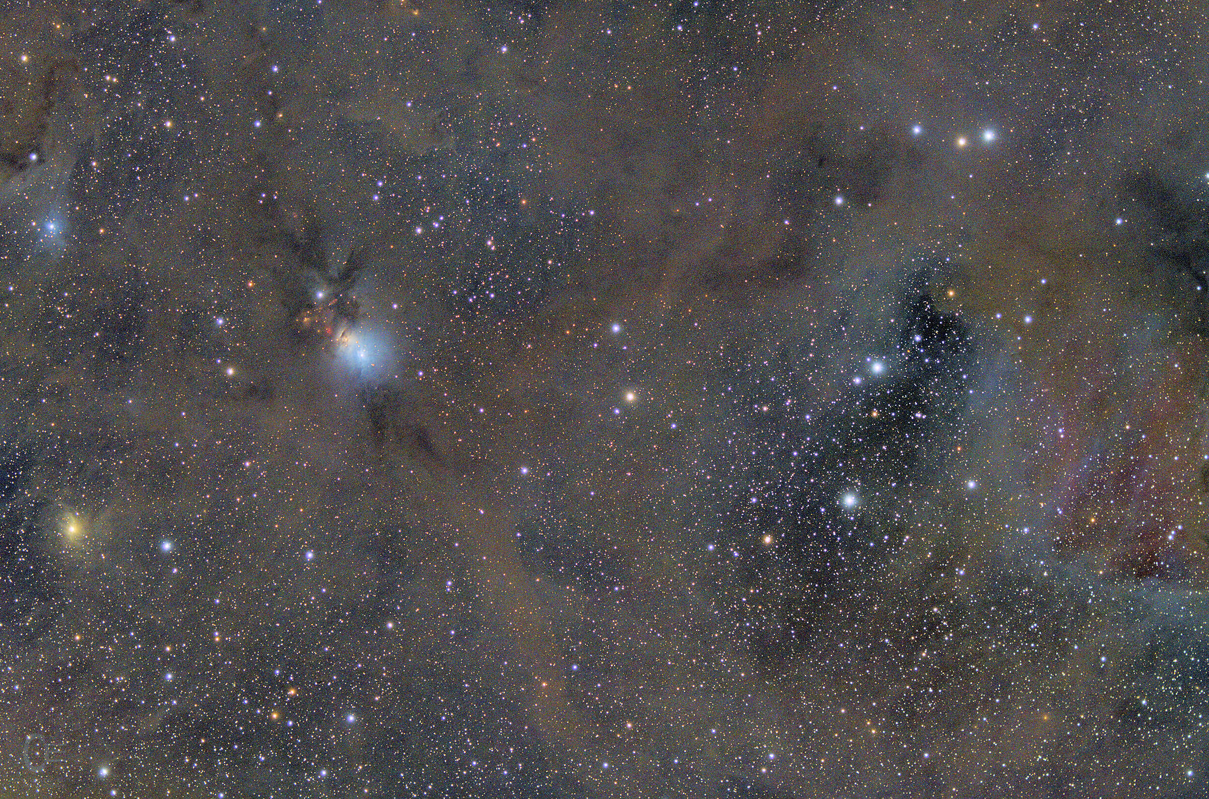 NGC 1333  nebulosa diffusa nel Perseo