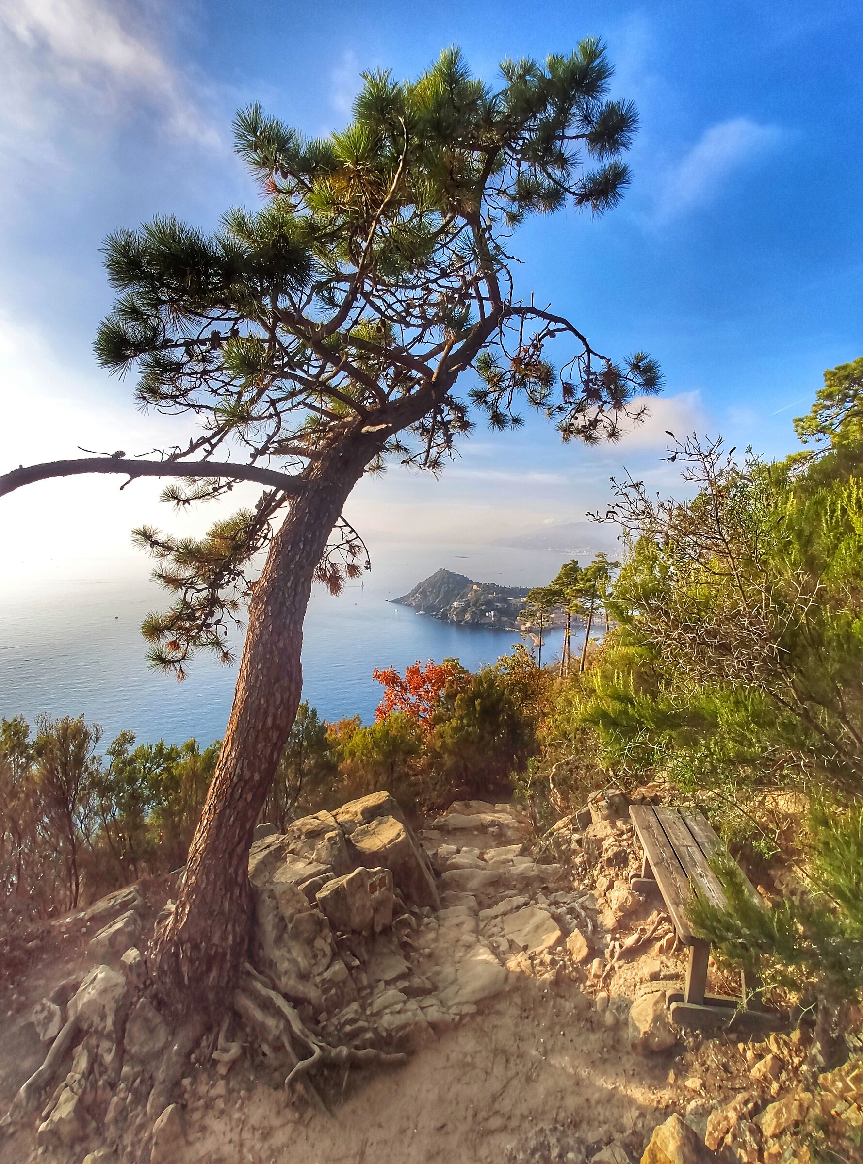 La panchina del bacio
