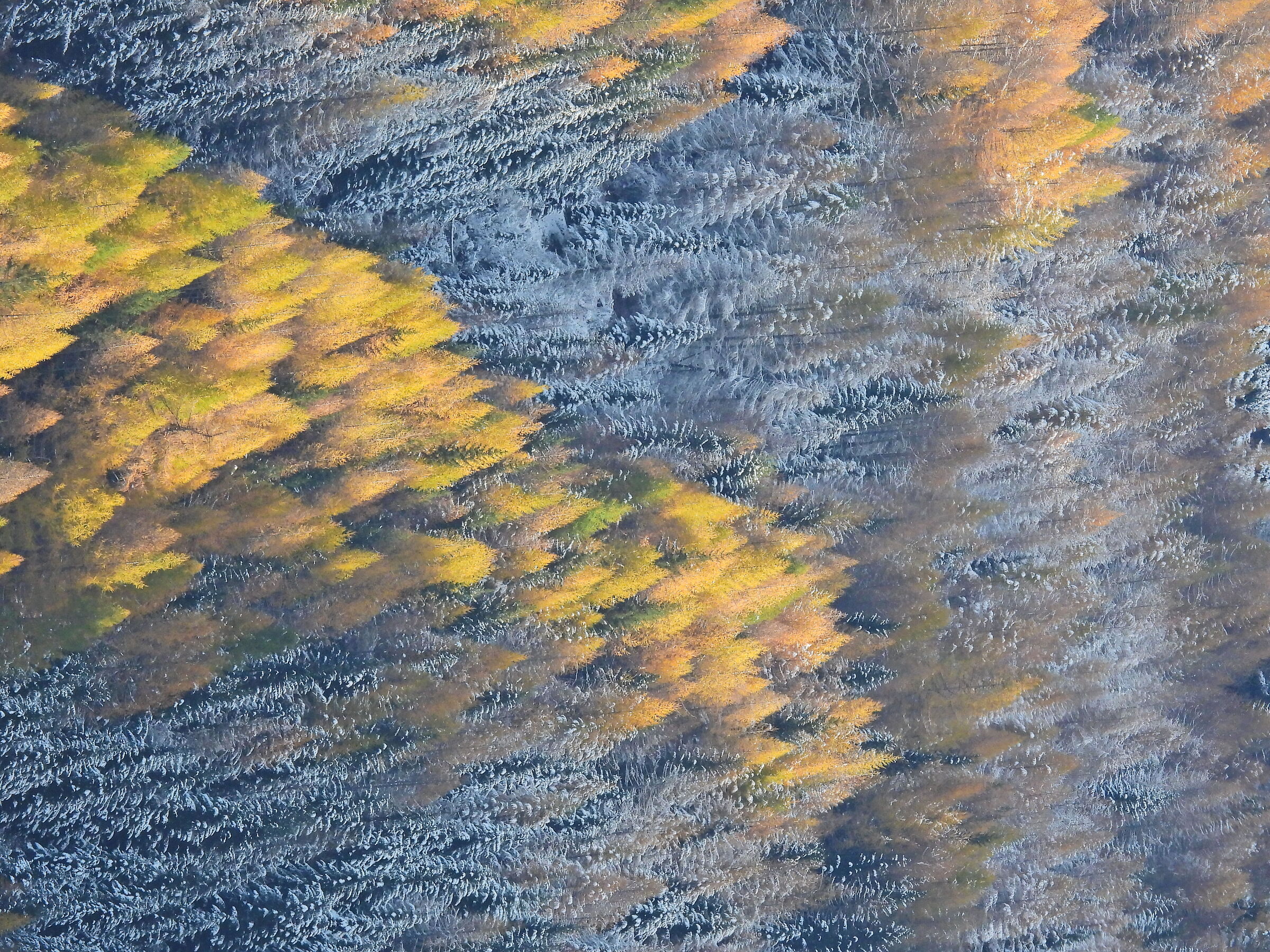 La prima spolverata di neve