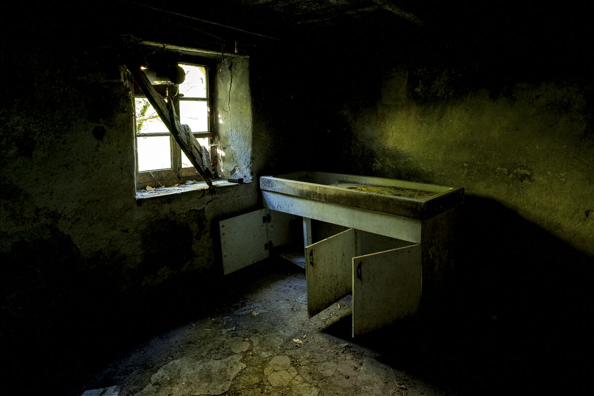 The green slowly conquers the abandonment