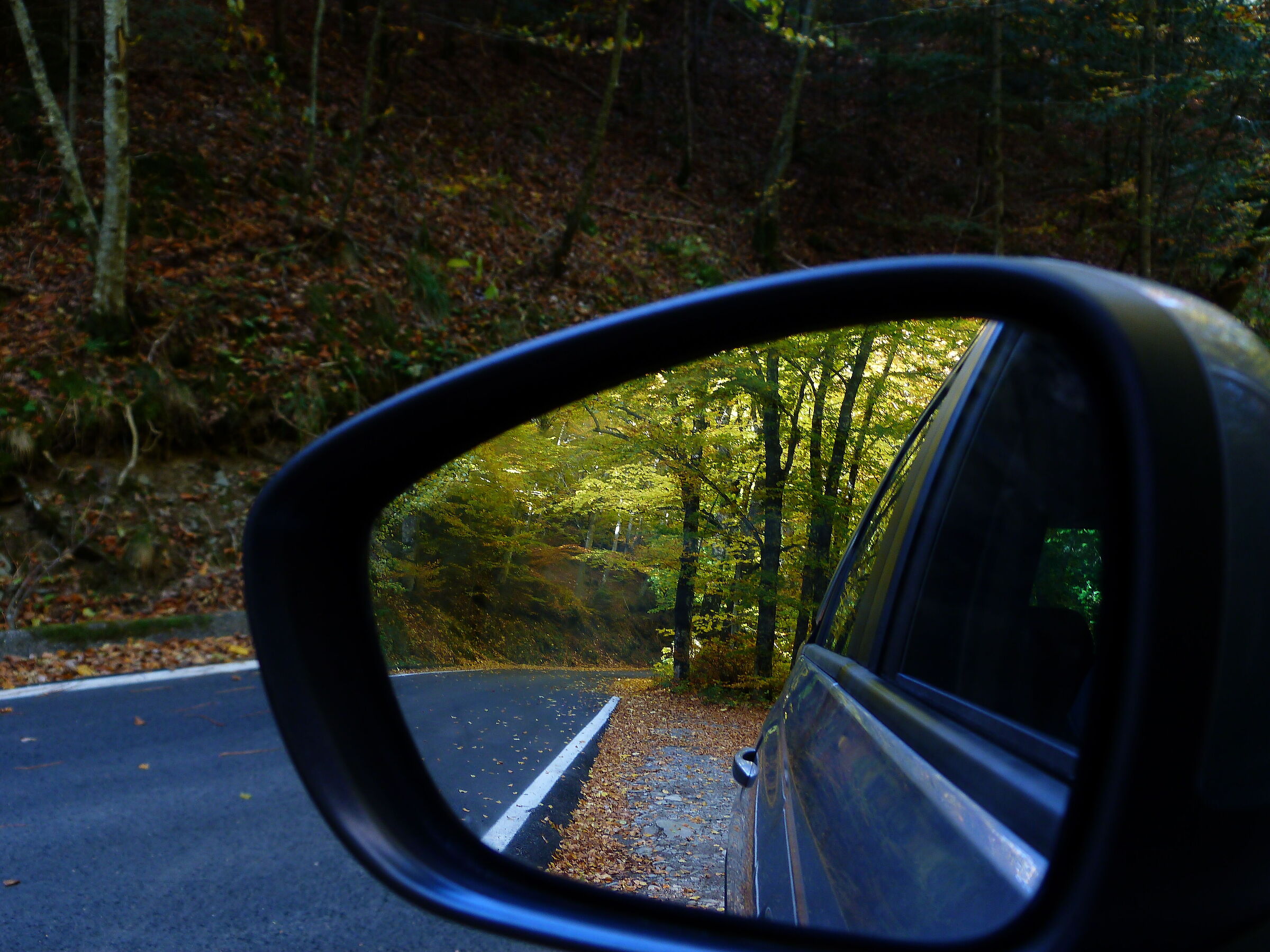 Paesaggio minimo 3 - Vallombrosa