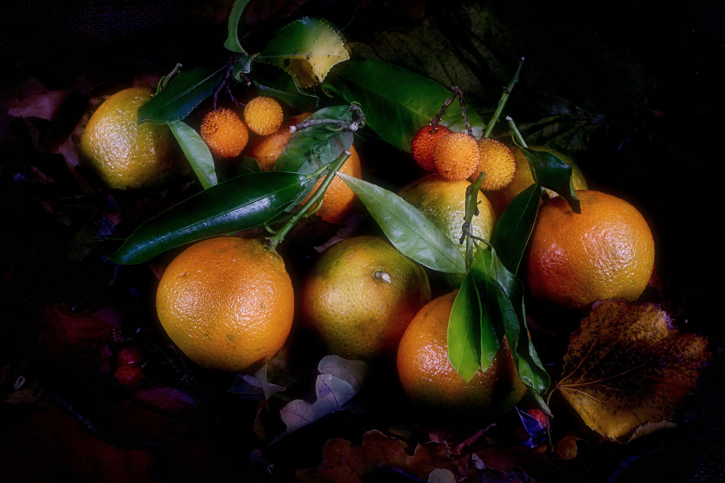 corbezzoli, che frutta!