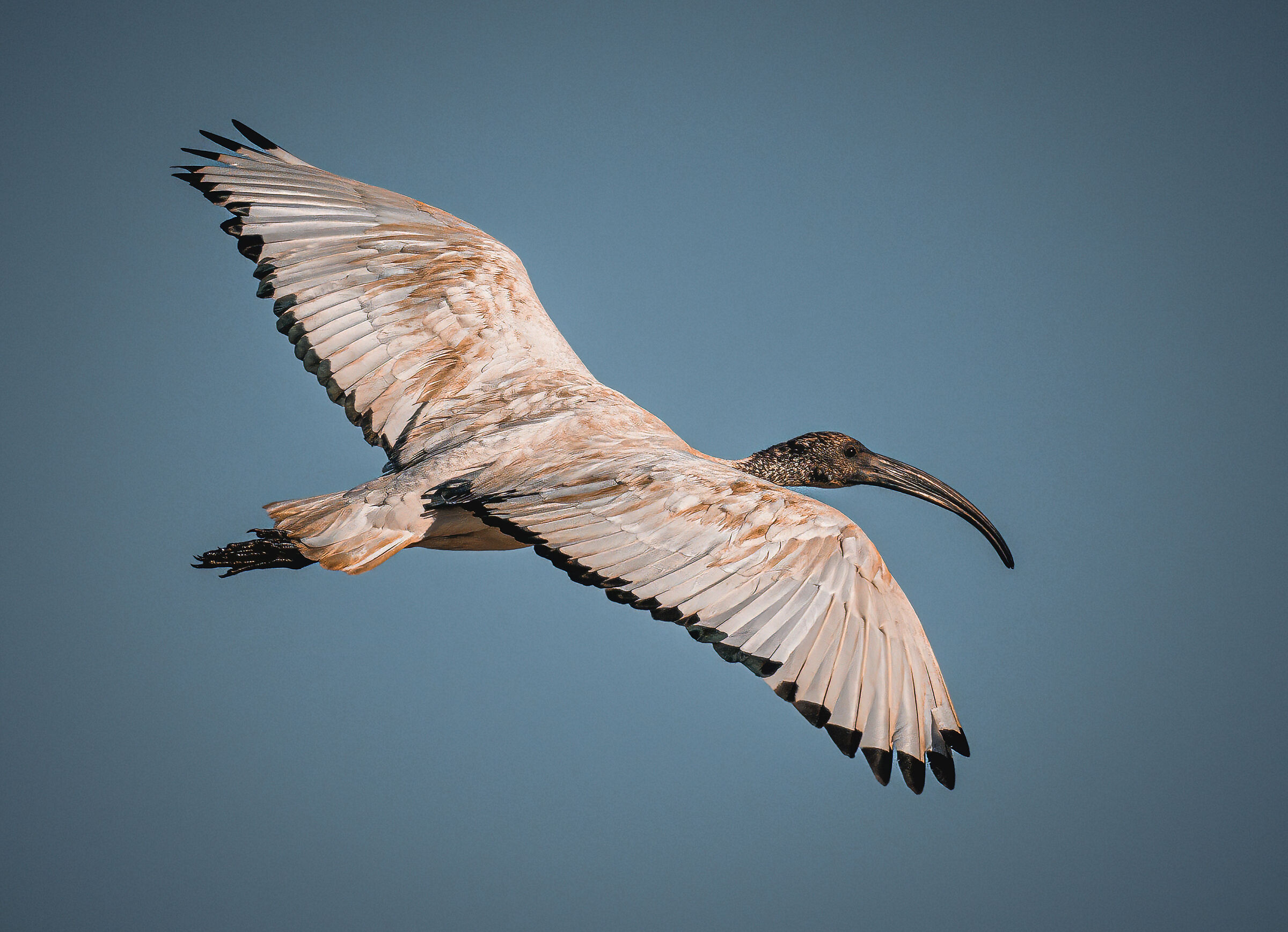 Flight test