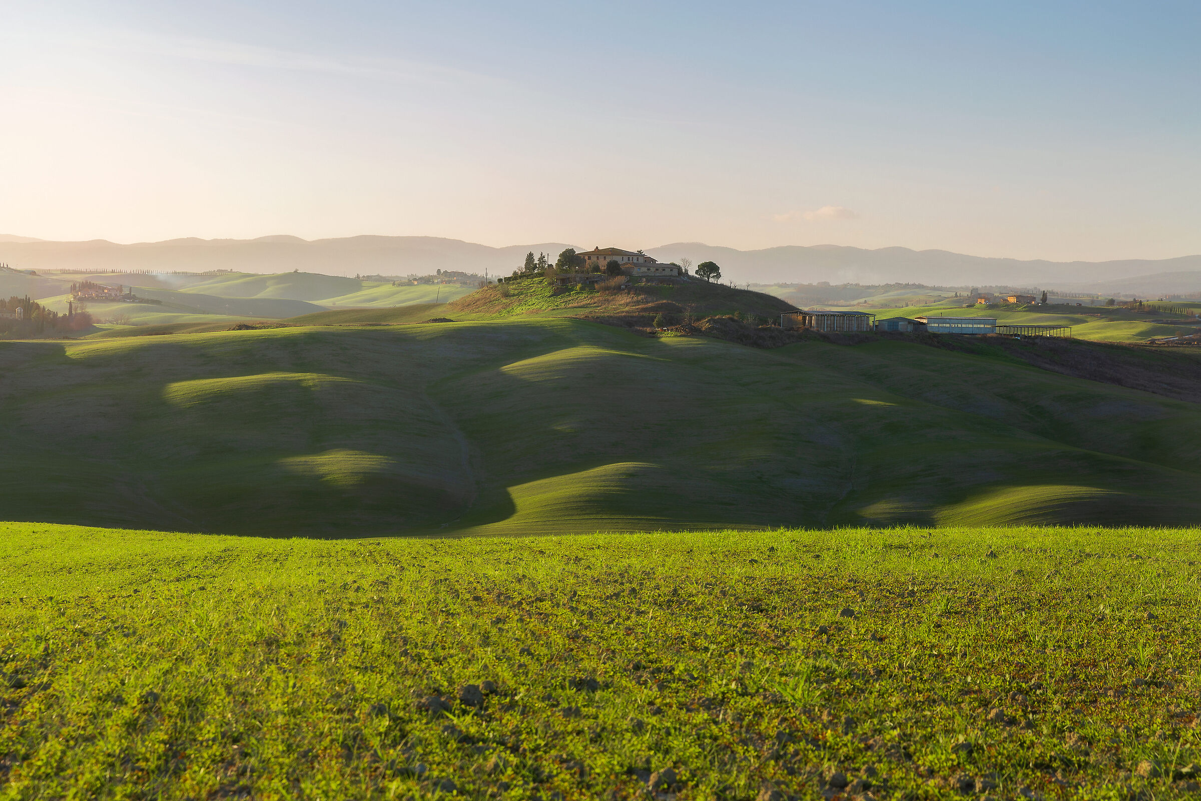 Crete senesi