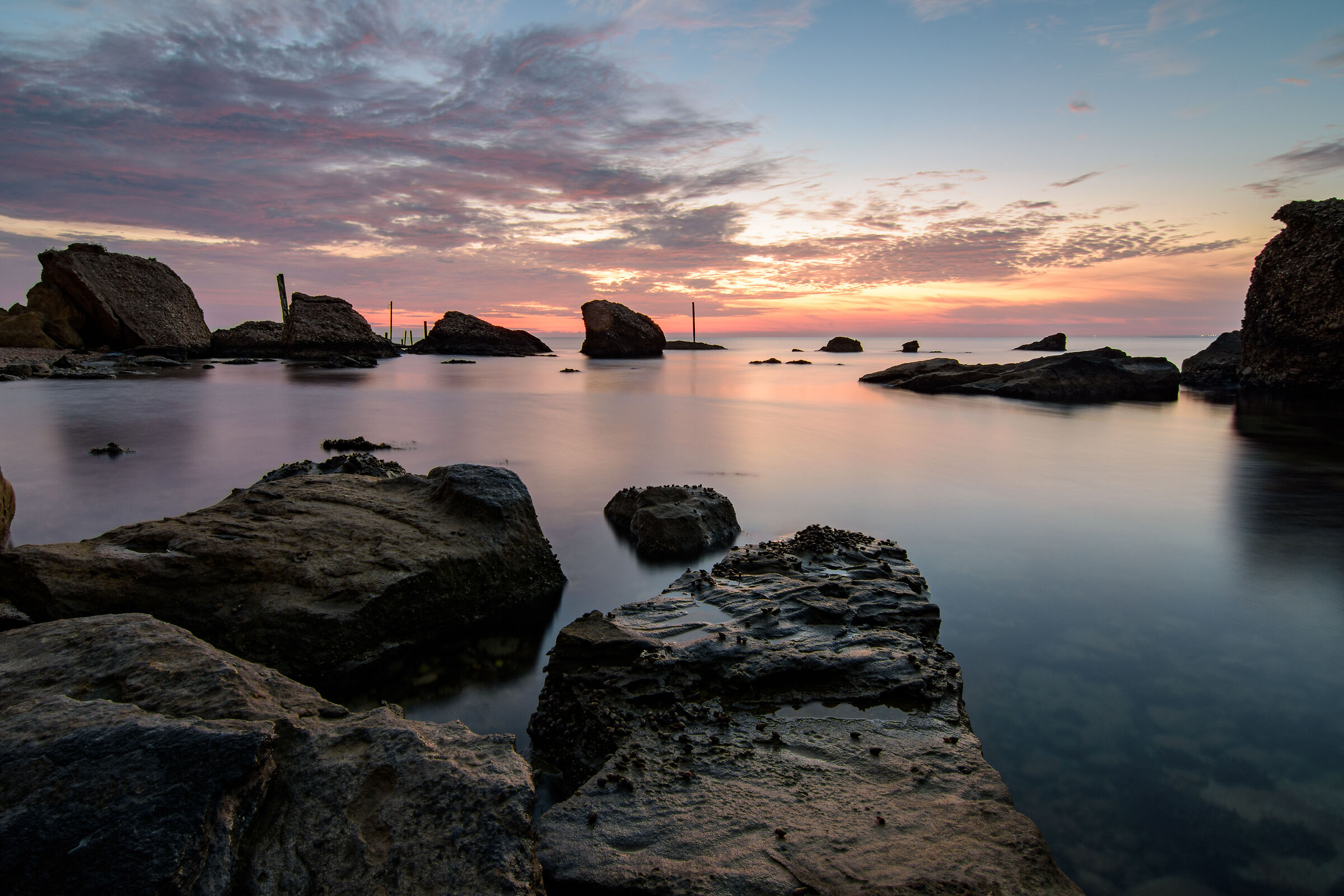 Shades in an autumn dawn