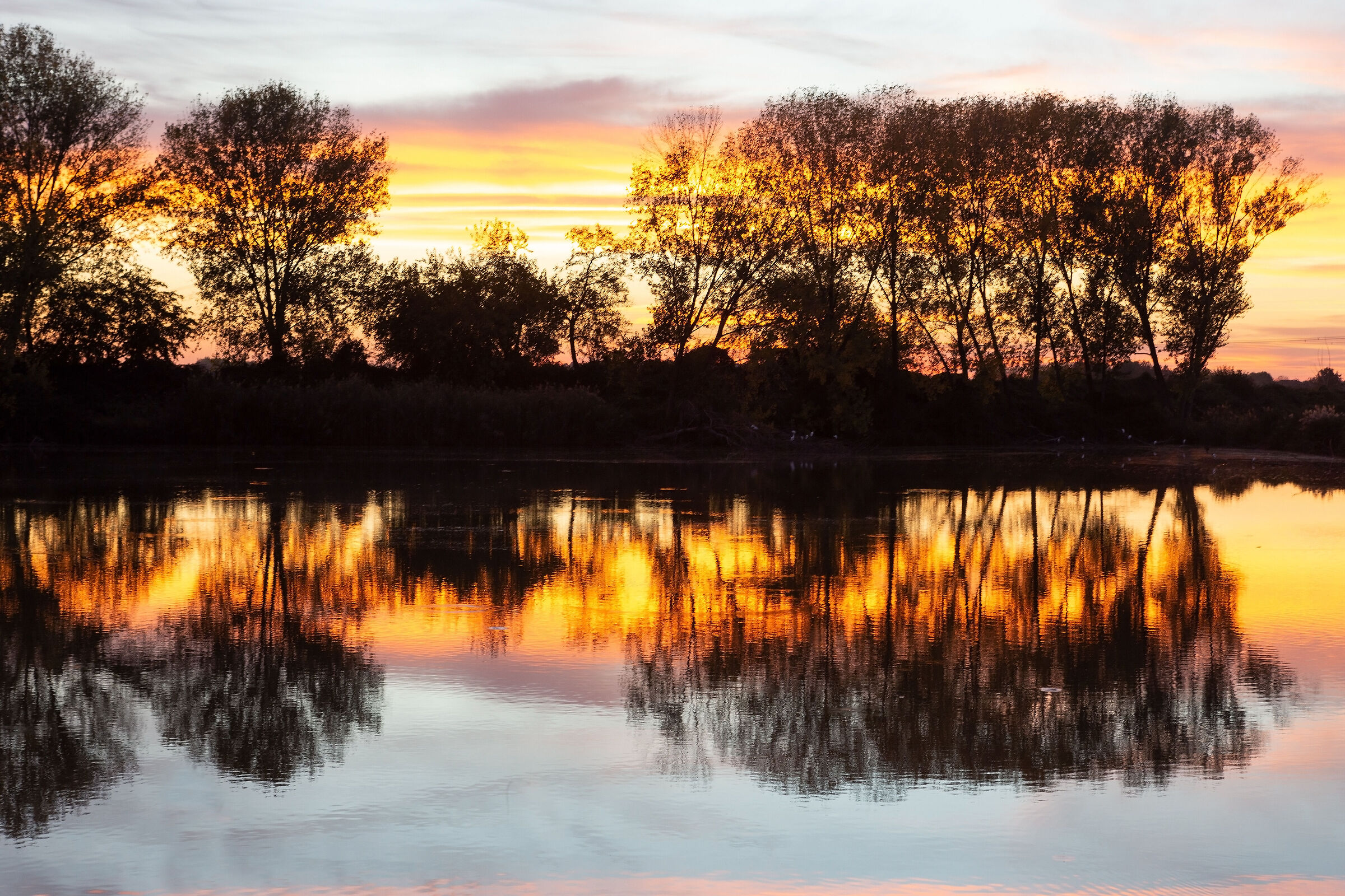 Rain cleaned the air