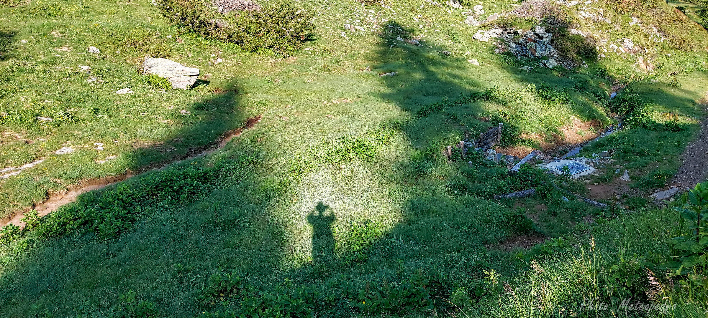 selfie tra gli abeti