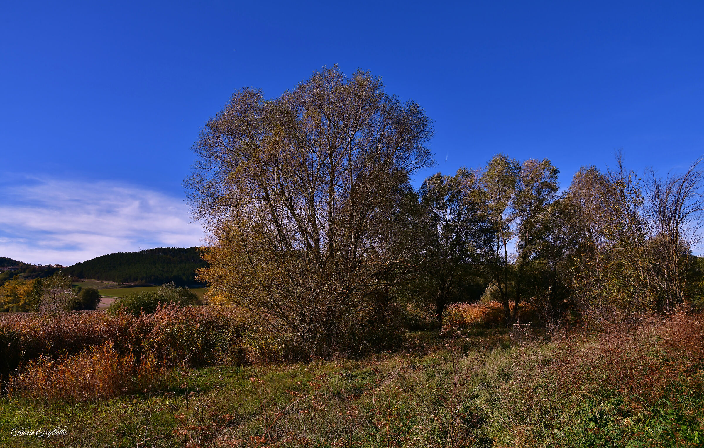 I colori dell'autunno