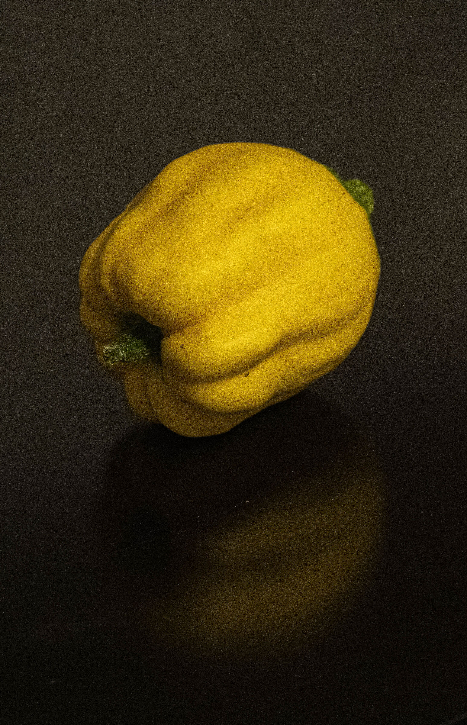 Zucca