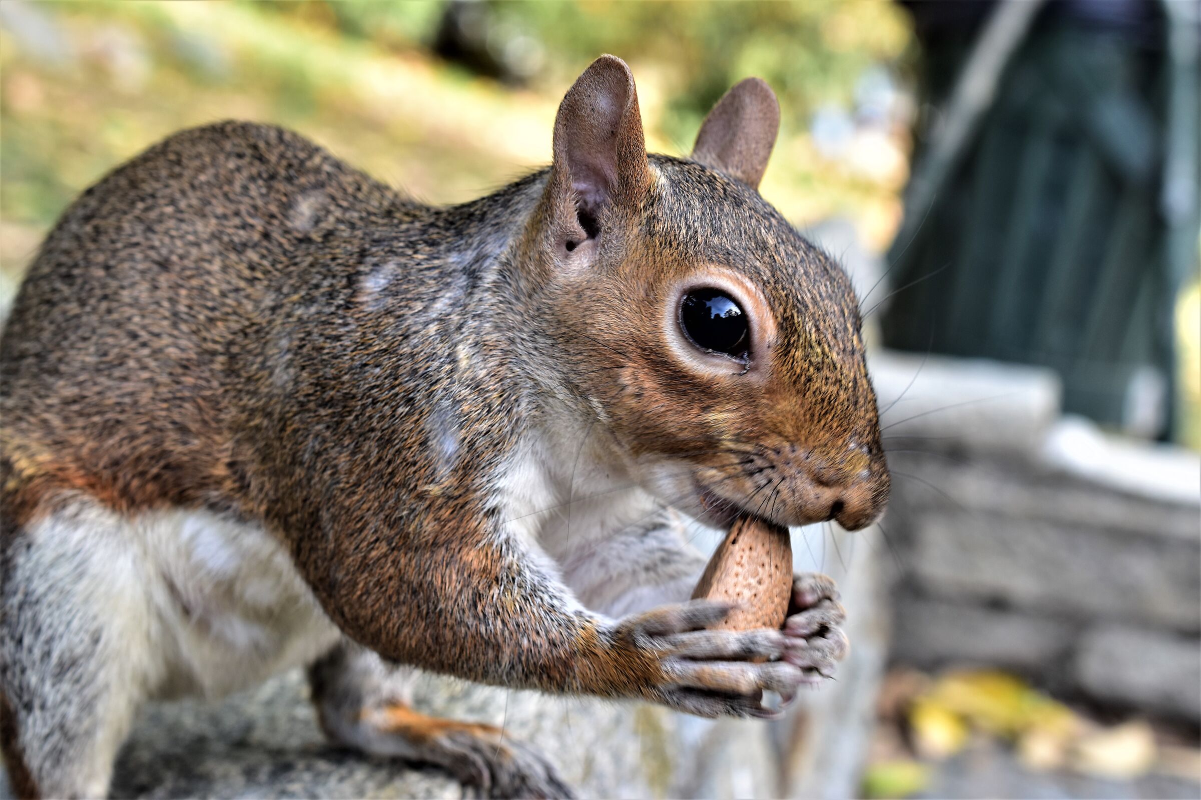 ..incontri Parco del Valentino Torino