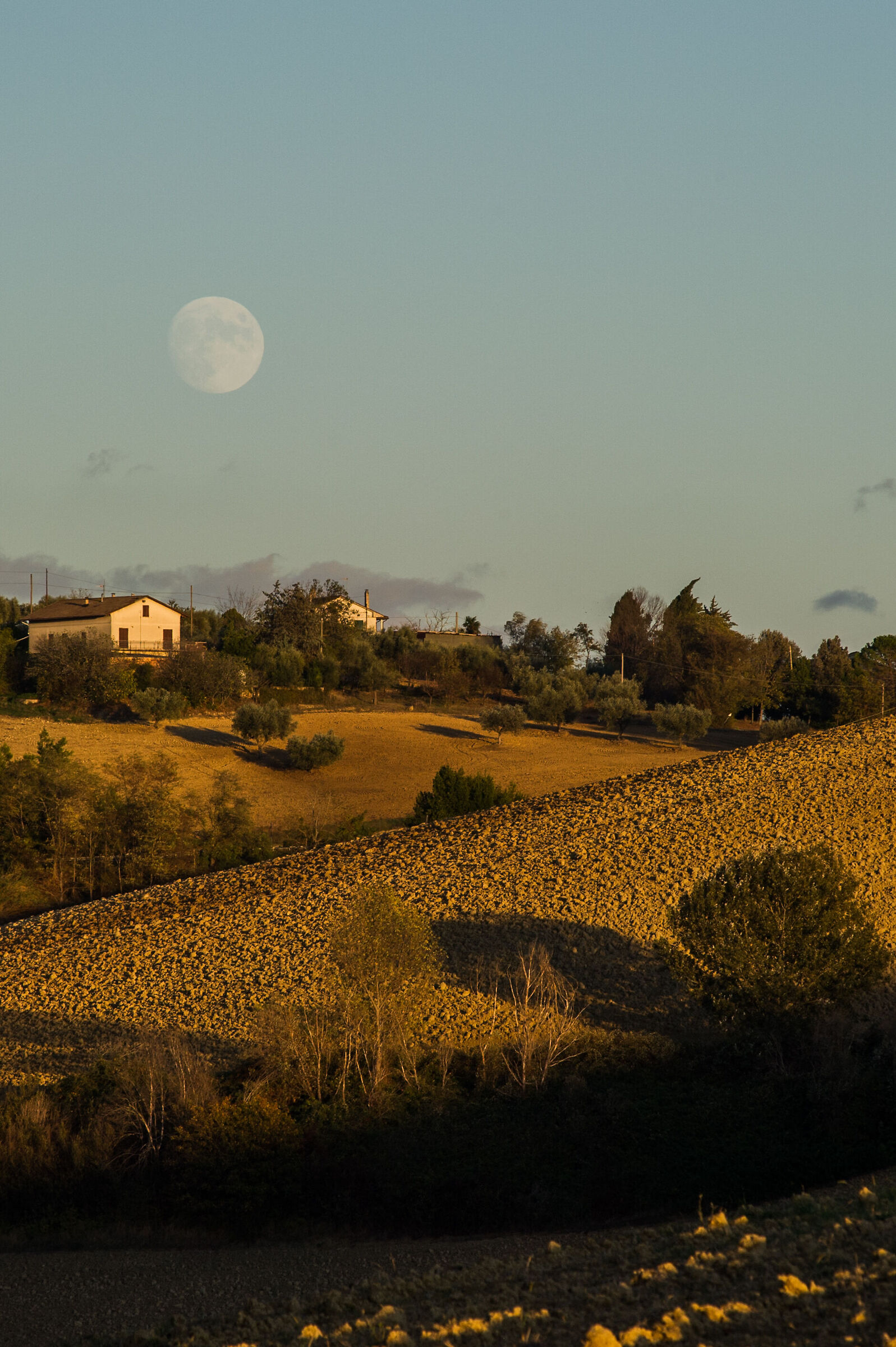 Campagna nel fermano