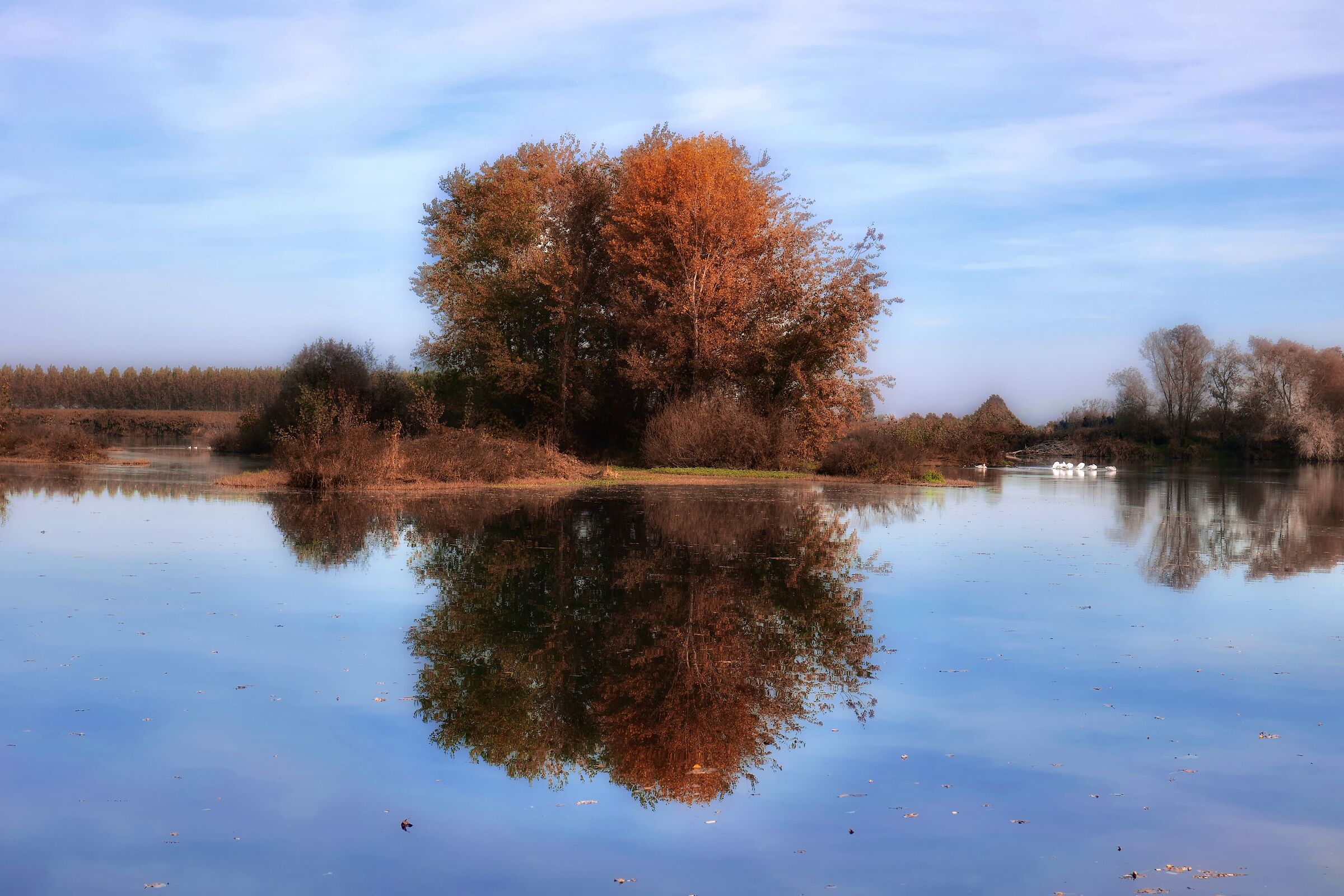 Autunno, colori e riflessi