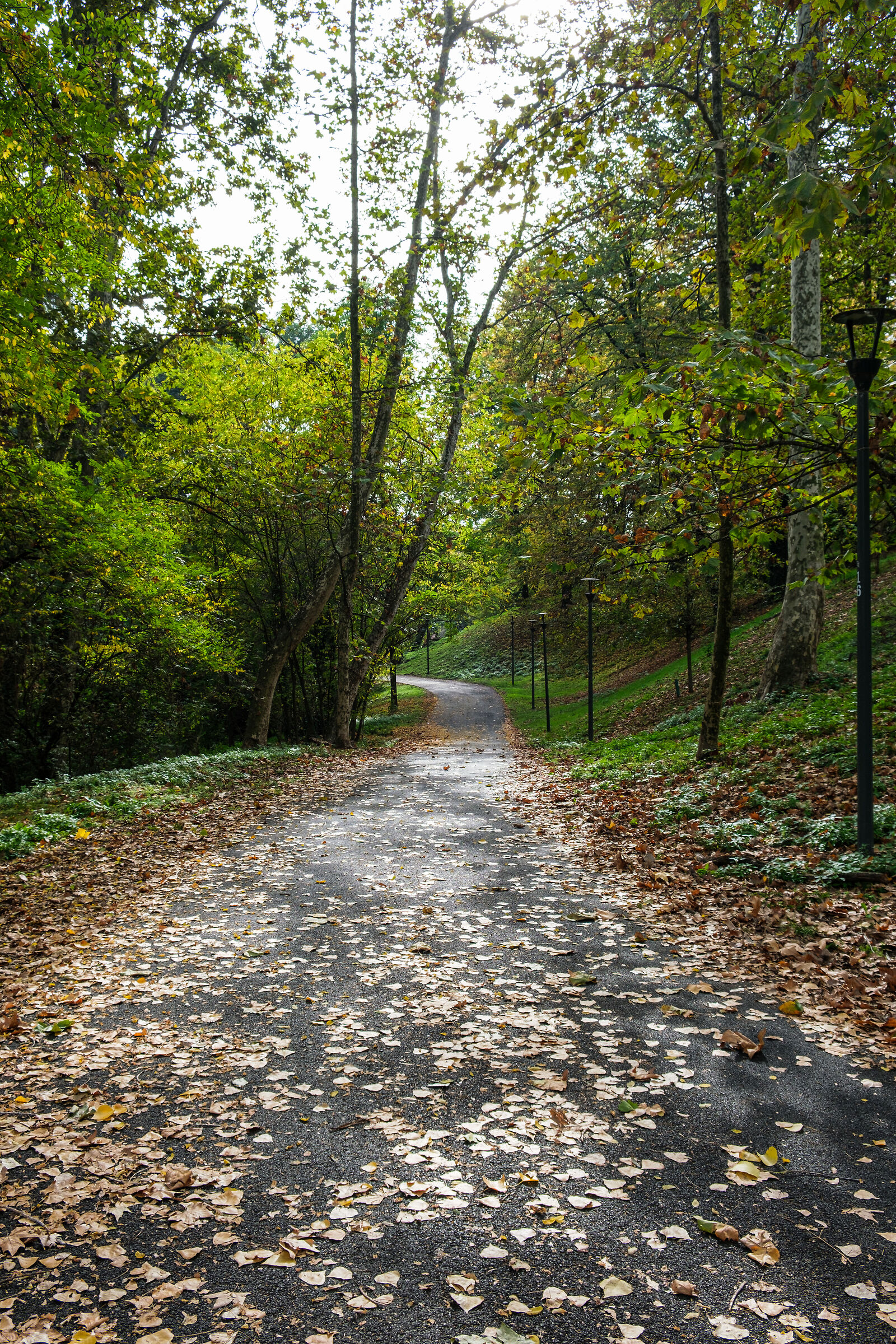 Parco Lambro - Milan