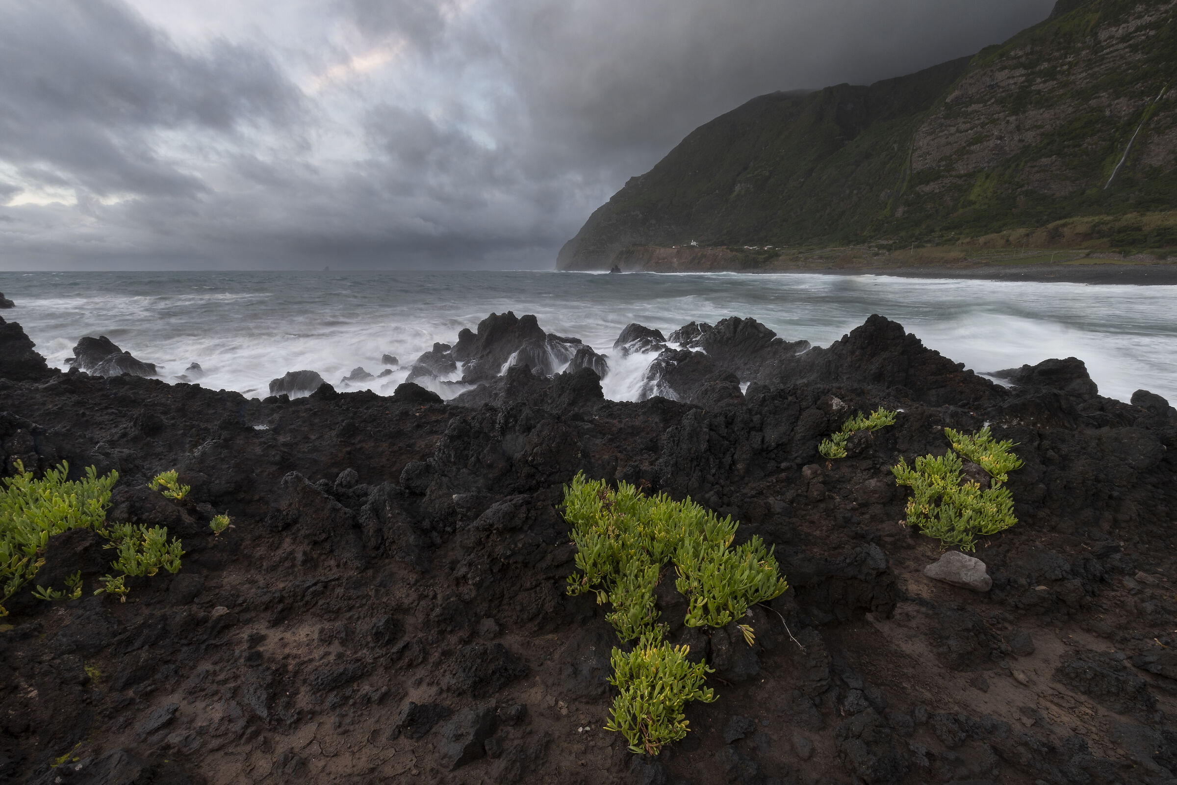 Flores - costa ovest