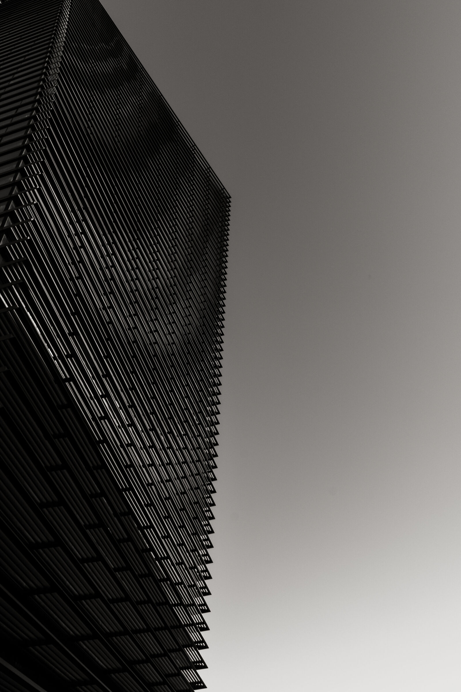 Untitled Photo