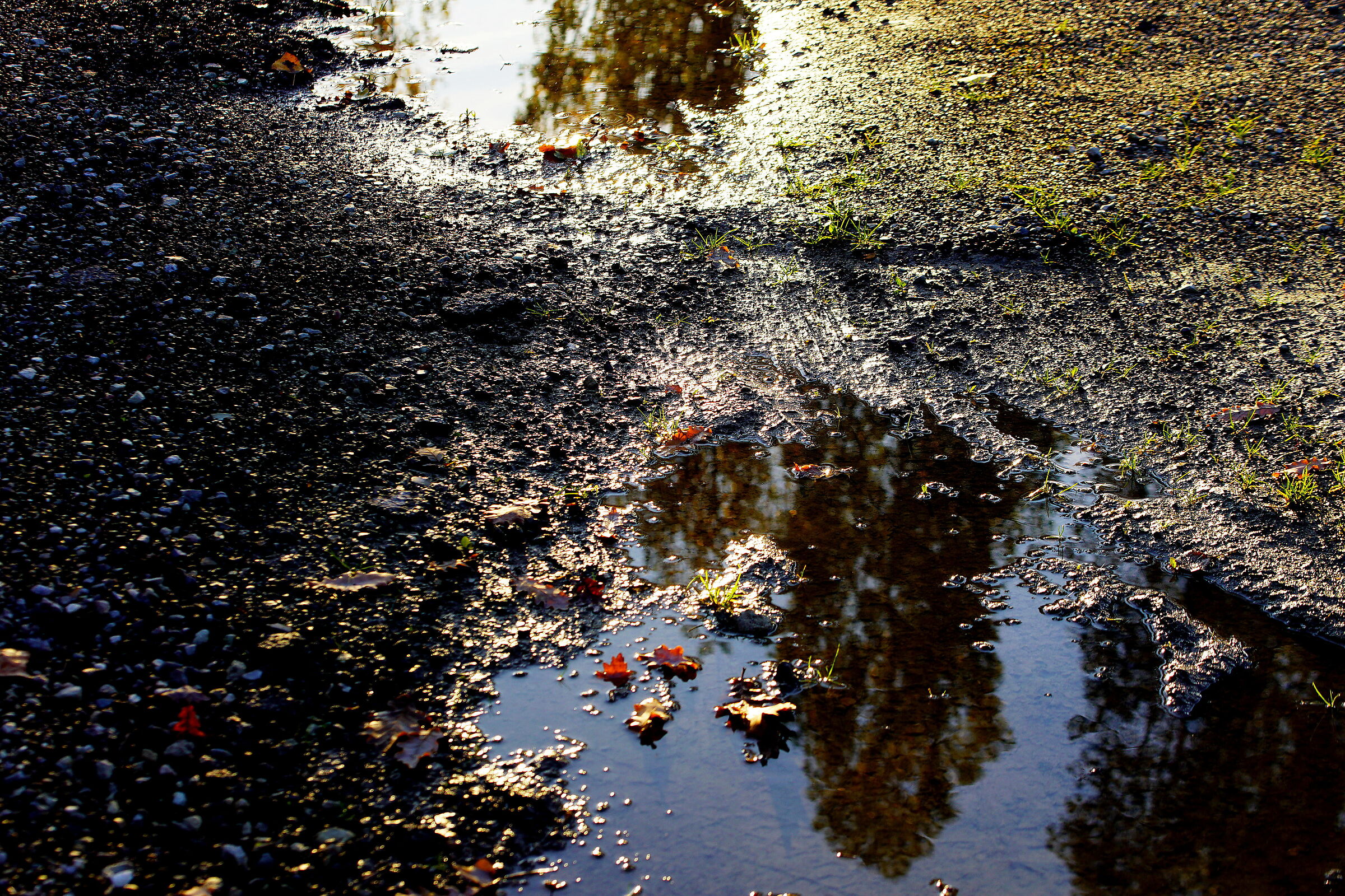 Untitled Photo
