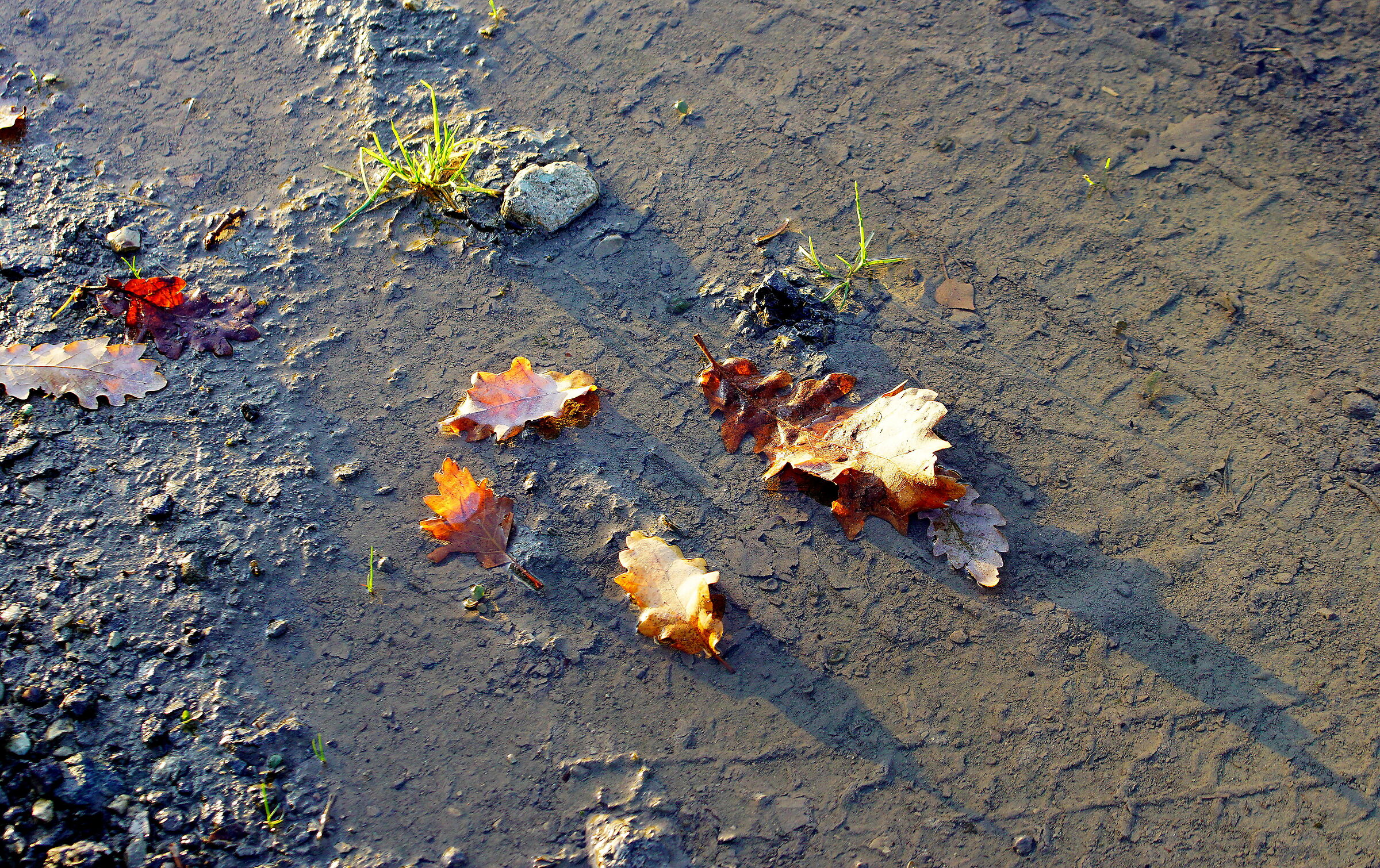 Untitled Photo