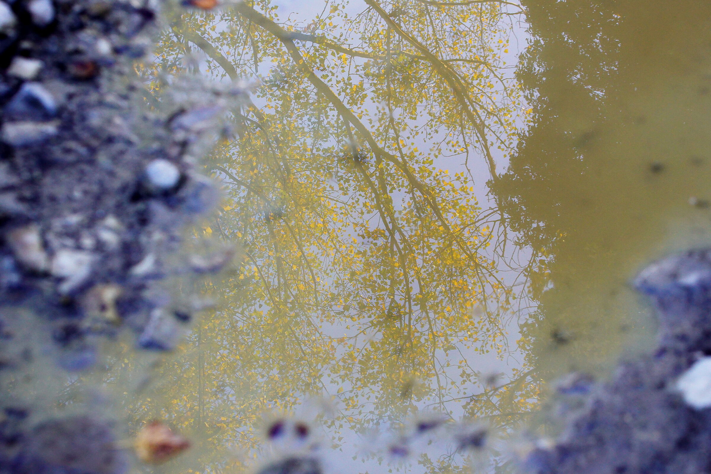 Untitled Photo