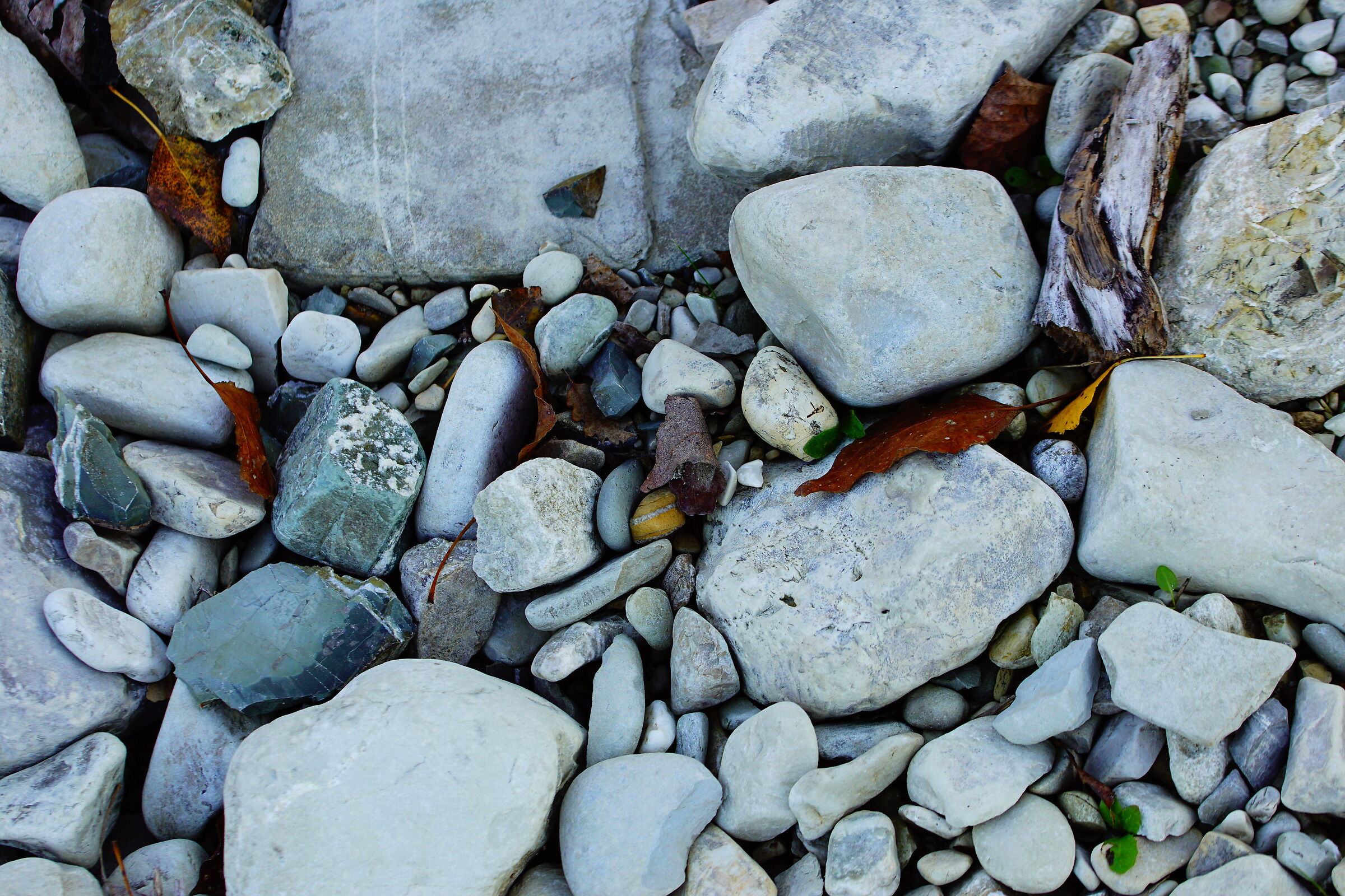 Untitled Photo