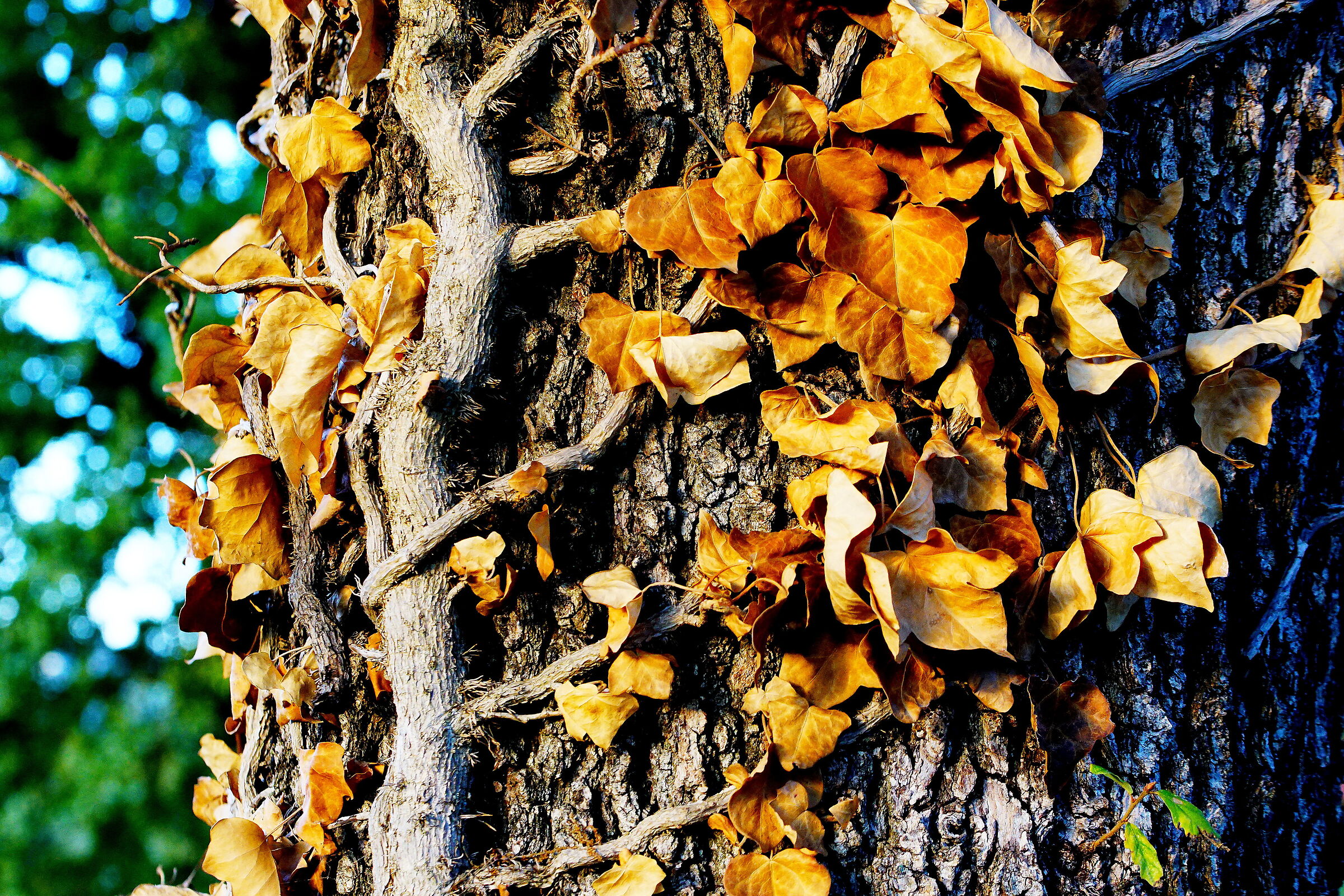 Untitled Photo