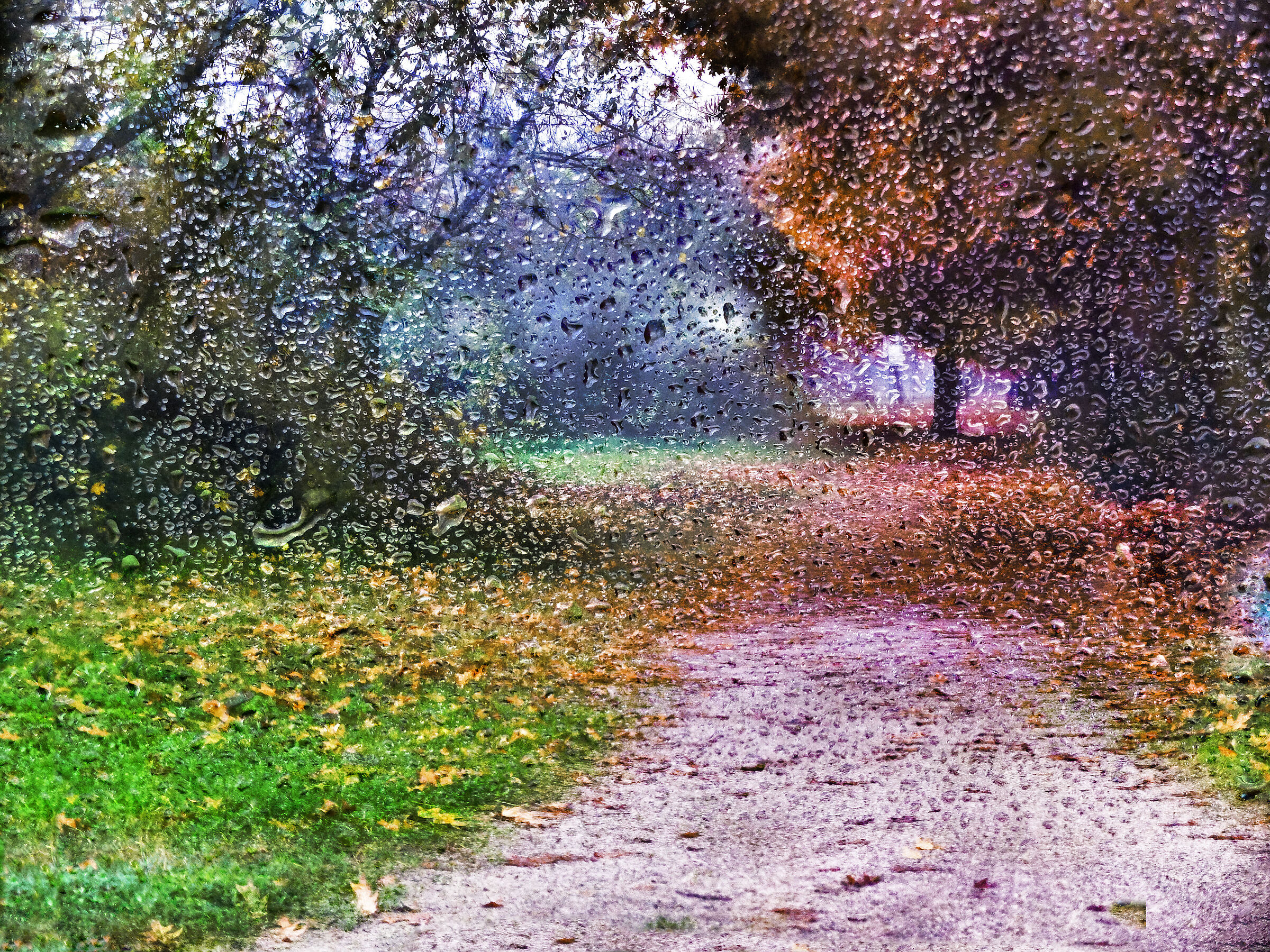 autunno un po astratto