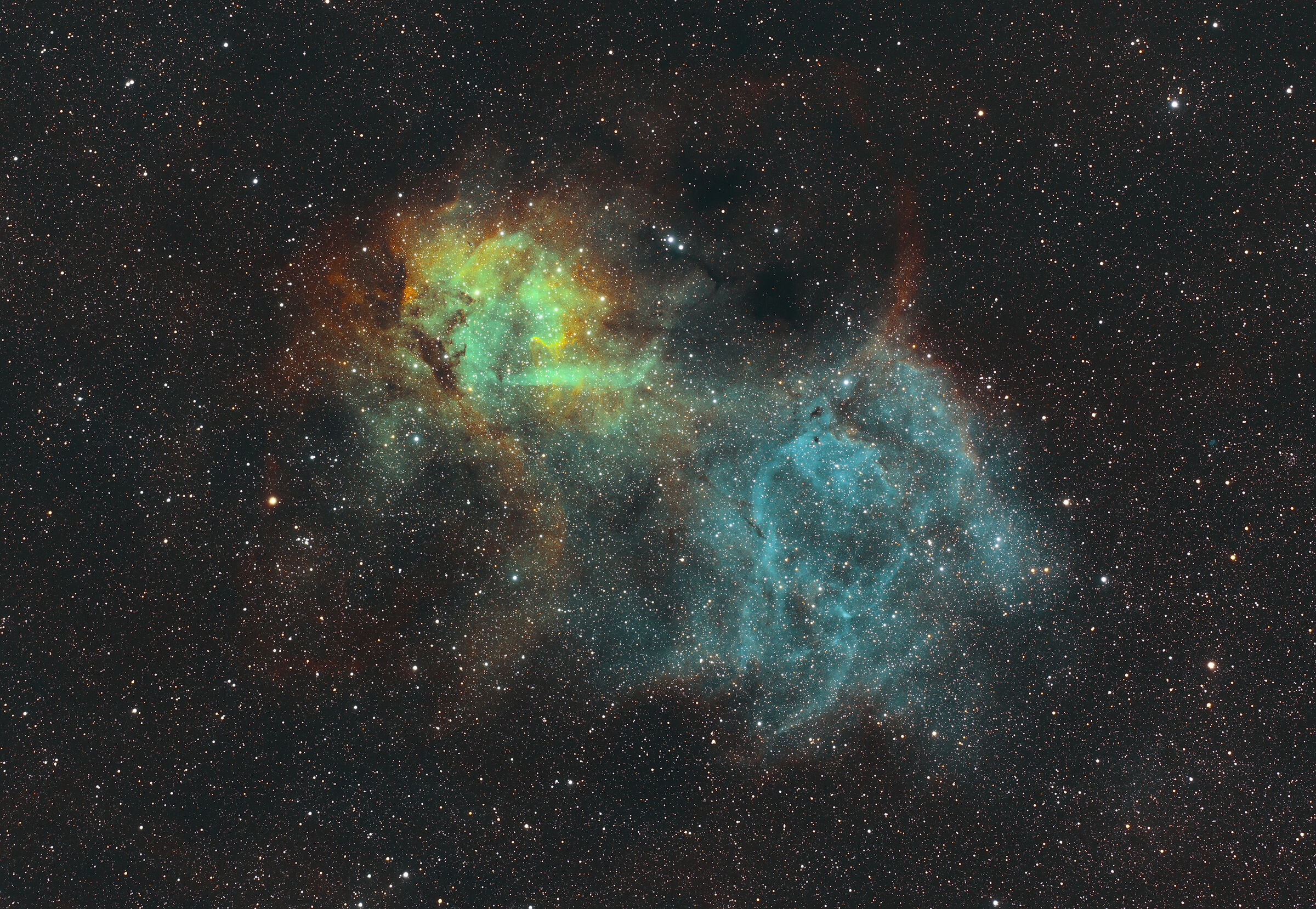Lion Nebula