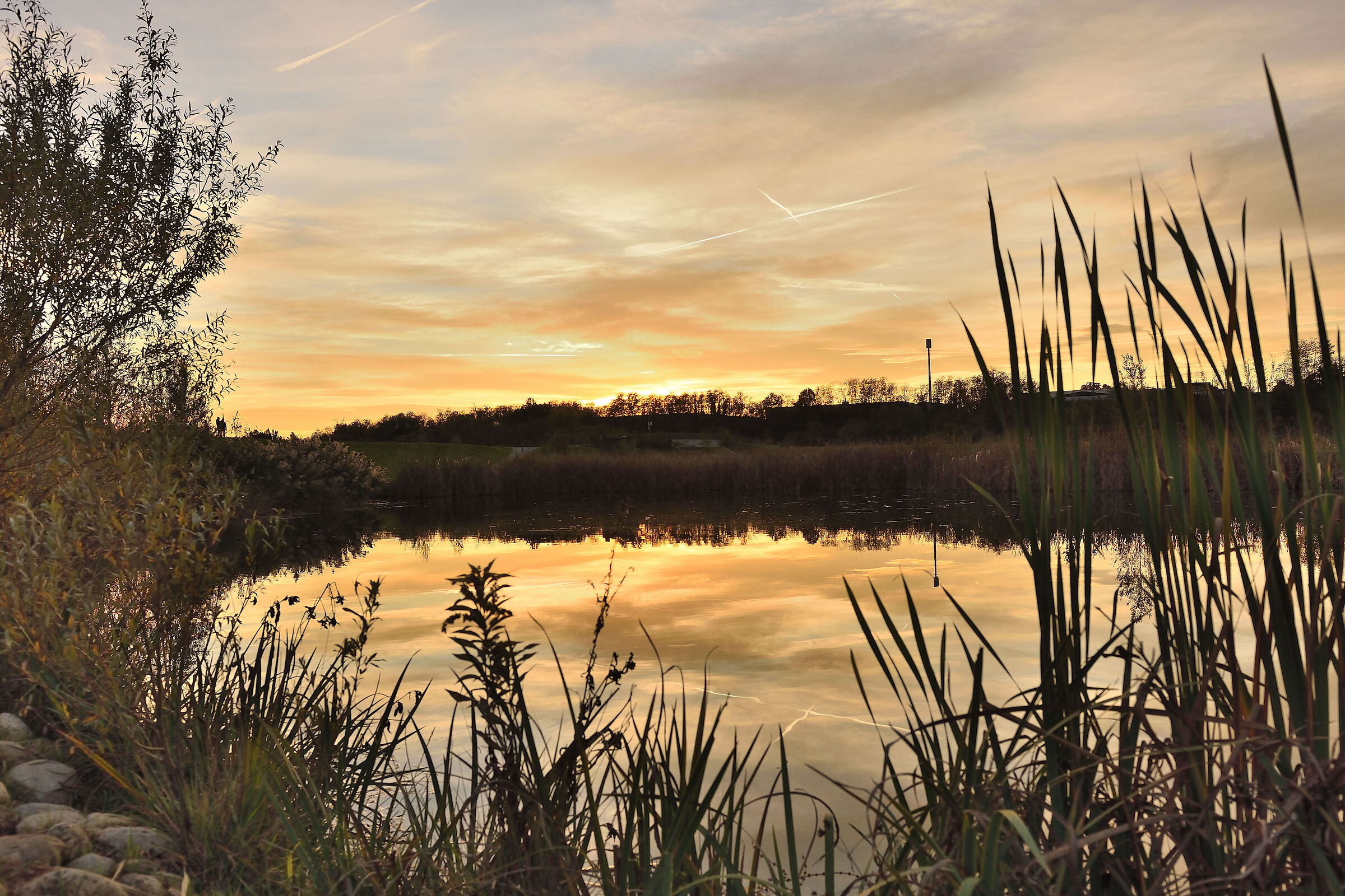 Tramonto Parco del Lura a Lomazzo