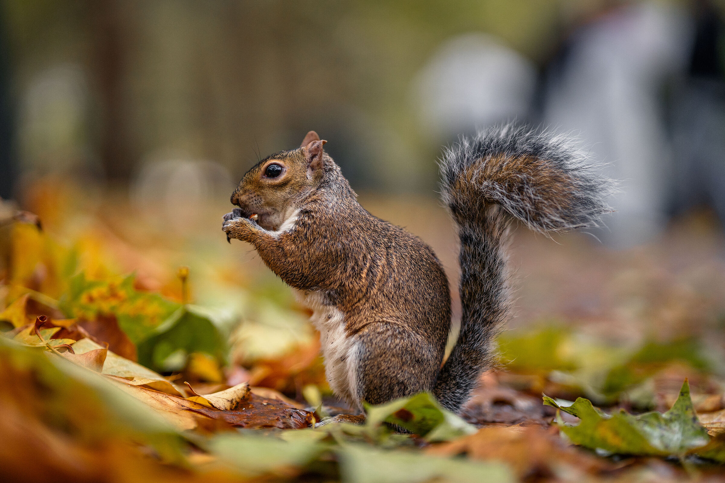 Incontri possibilissimi nel centro di Londra