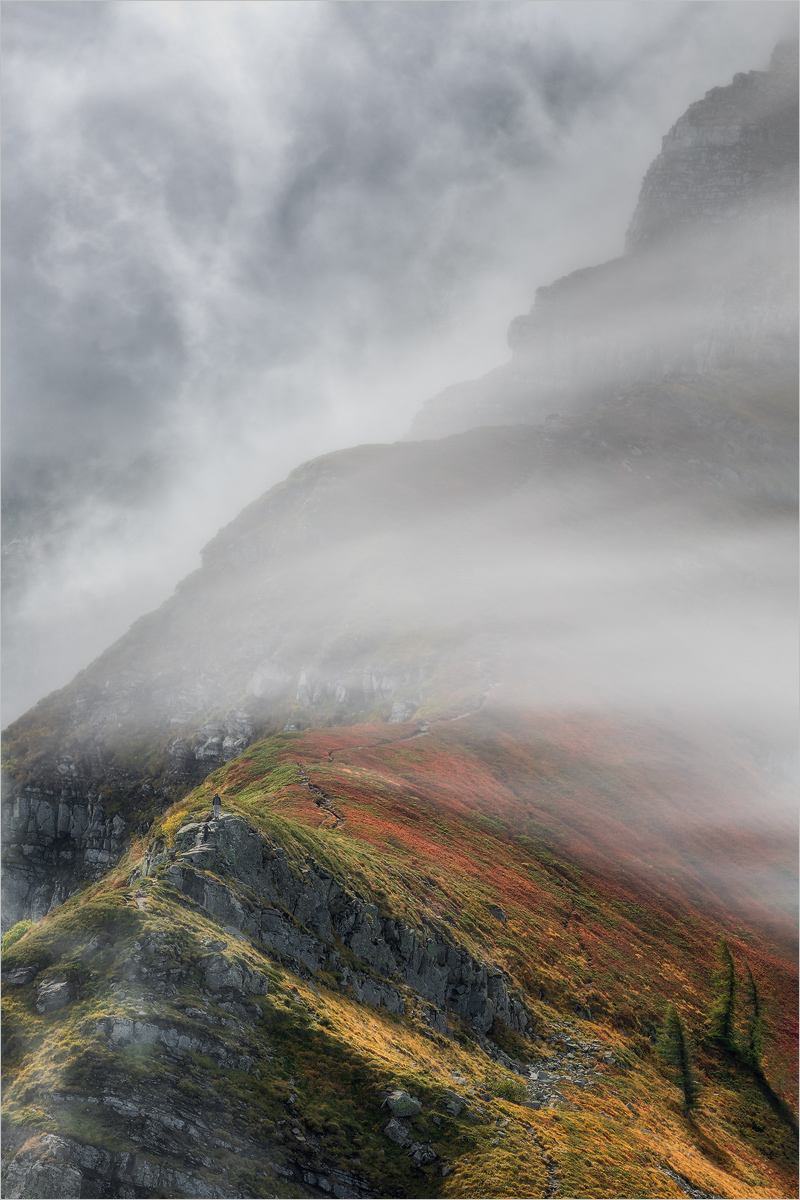 Caressing the Autumn